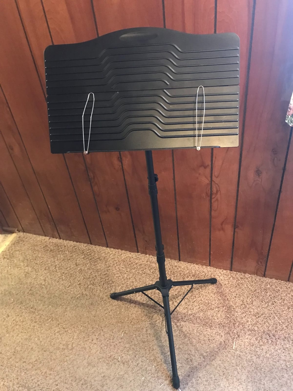 Donner DMS-1 Sheet Music Stand with Light & Carrying Bag customer photo 1