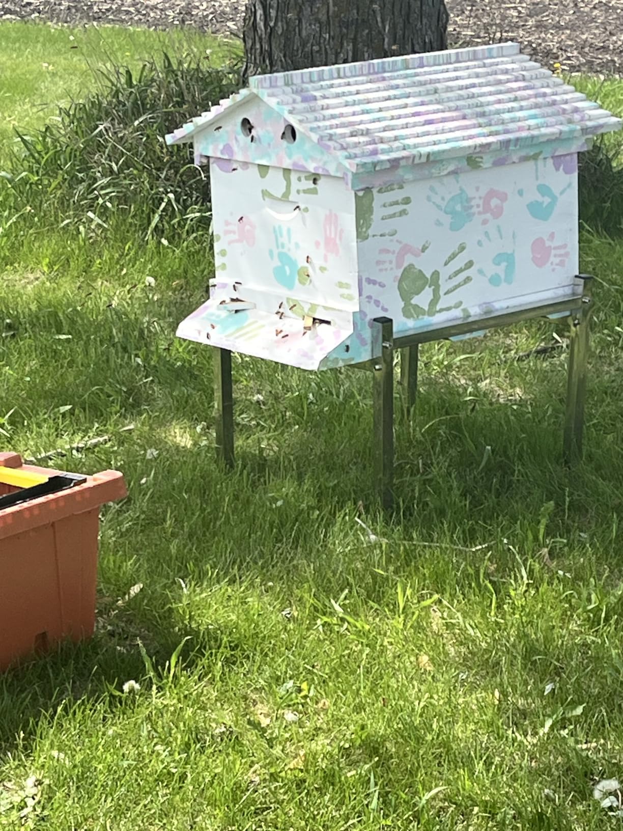 Golden Palace Bee Hive, Beehive with 7pcs Auto Super Frames, Bee House with 1pcs Super Boxes, 1pcs Brood Boxes (No Brood Frames), Bee Hives Starter Beekeeping Kits customer photo 2
