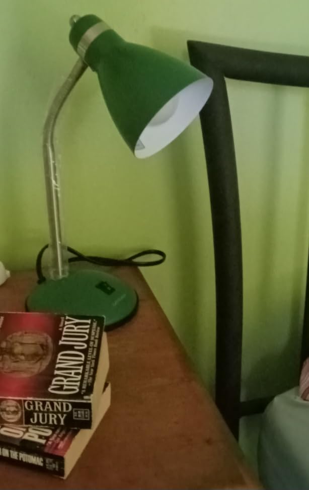LEPOWER Metal Desk Lamp, Adjustable GooseNeck Reading Light for Bedroom customer photo 1