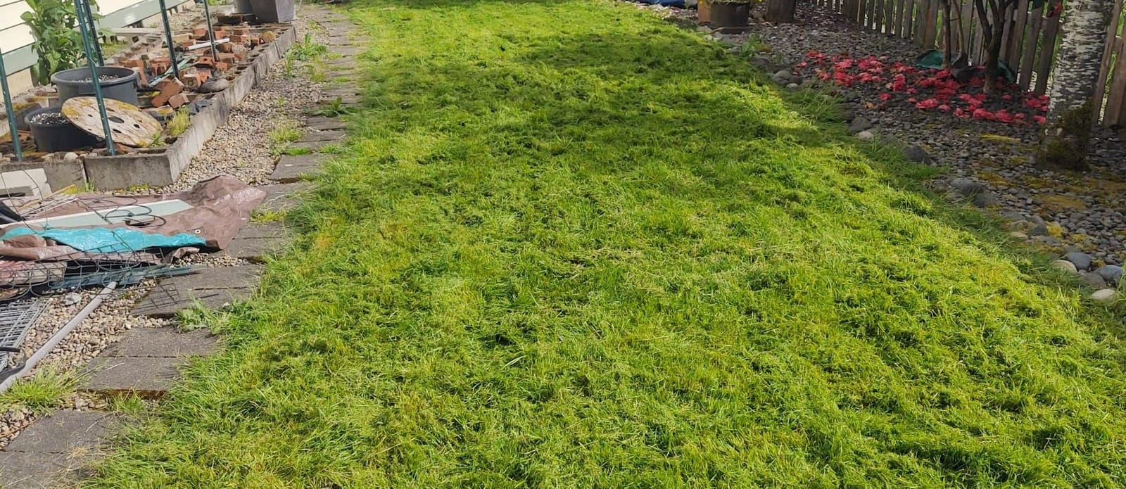 BLACK+DECKER Electric Lawn Mower, Weed Eater and Edger 3-in-1 Combo, Corded 12-Inch 6.5 Amp Electric Weed Wacker and Compact Push Mower (BESTA512CM) customer photo 1