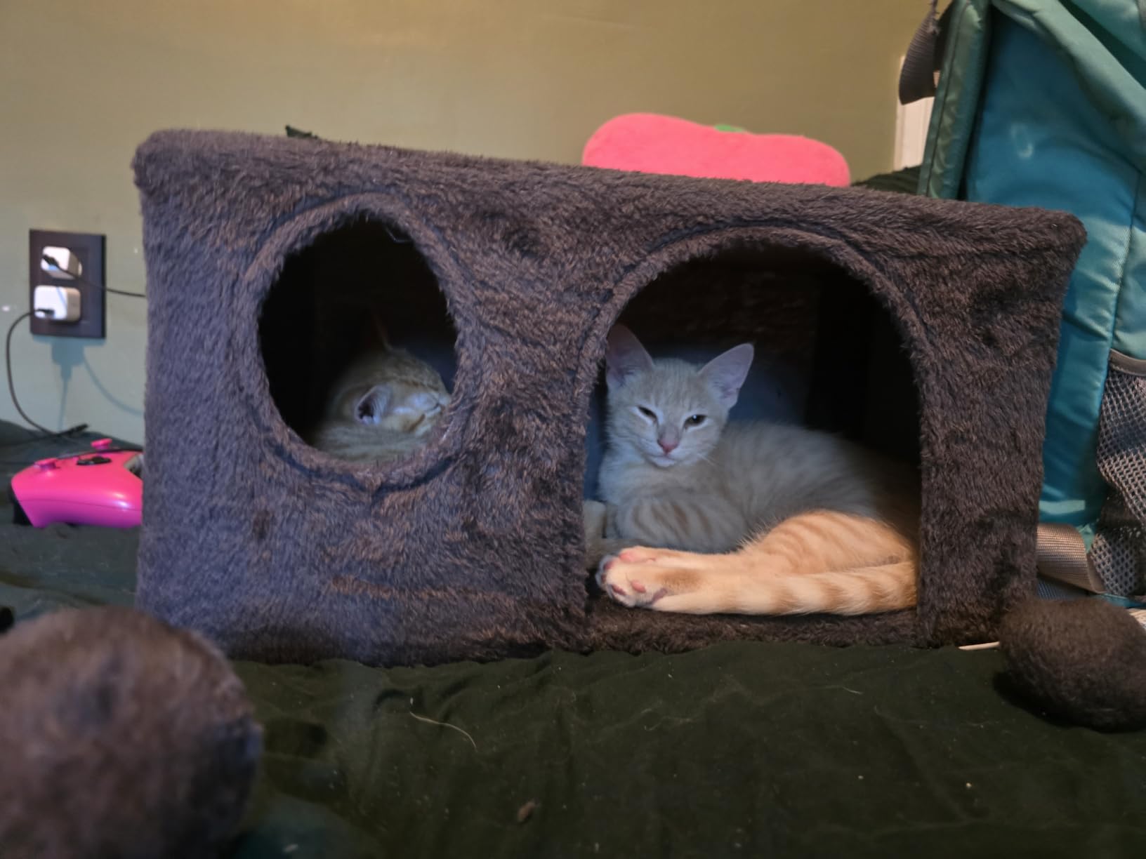 Yaheetech 54in Cat Tree Tower, 2 Caves, Kitten-Ear Perch & Scratching Posts | Multi-level layout, climbing ladder, easy assembly, high pet appeal, total load 66lbs for all indoor cats, dark gray customer photo 2