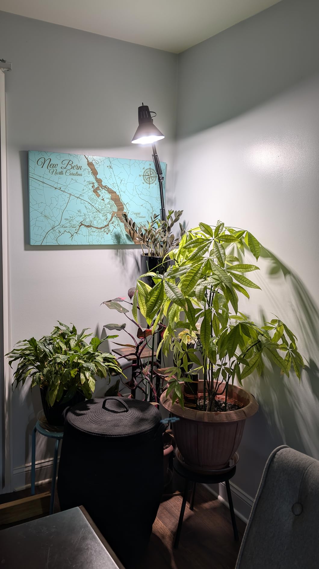 SANSI Grow Lights for Indoor Plants, 36W Plant Lights for Indoor Growing customer photo 1