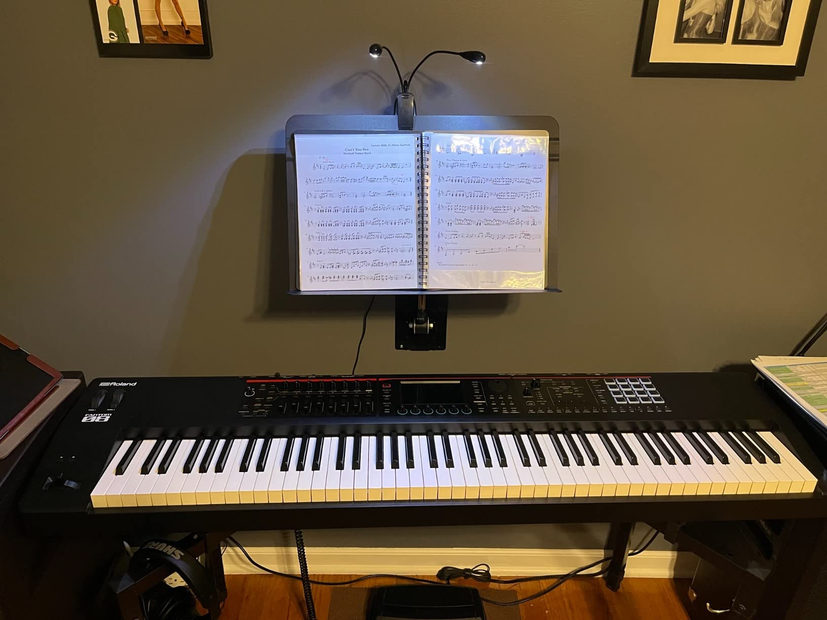 Music Stand Light, 1/2/4/10 Pack Clip on LED Book Lights, USB and AAA Battery Operated, Reading Lamp in Bed, 4 Brightness Levels, Ideal for Musician, Piano Player, Sheet Music, Travel (Dual Arm) customer photo 1