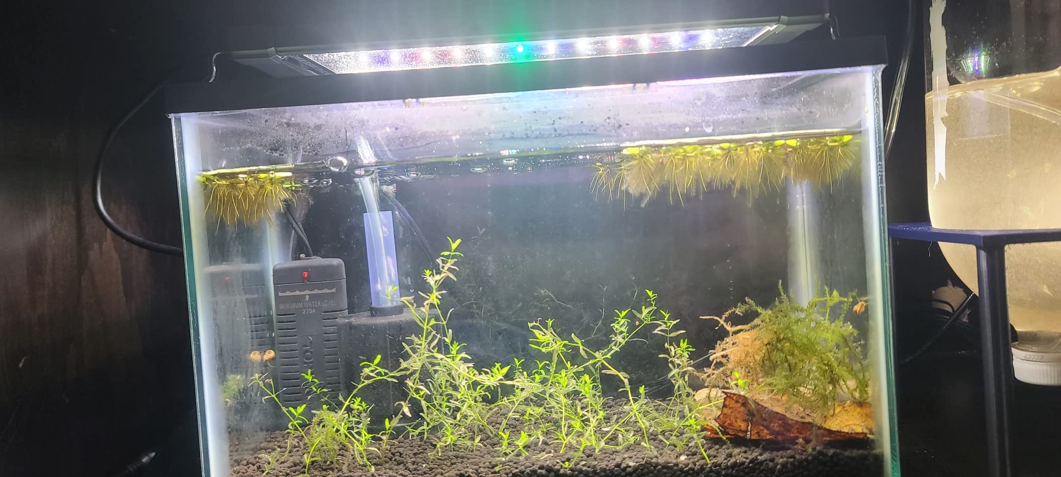 NICREW ClassicLED Plus LED Aquarium Light, 21W, for 30 to 36 Inch Fish Tank customer photo 1