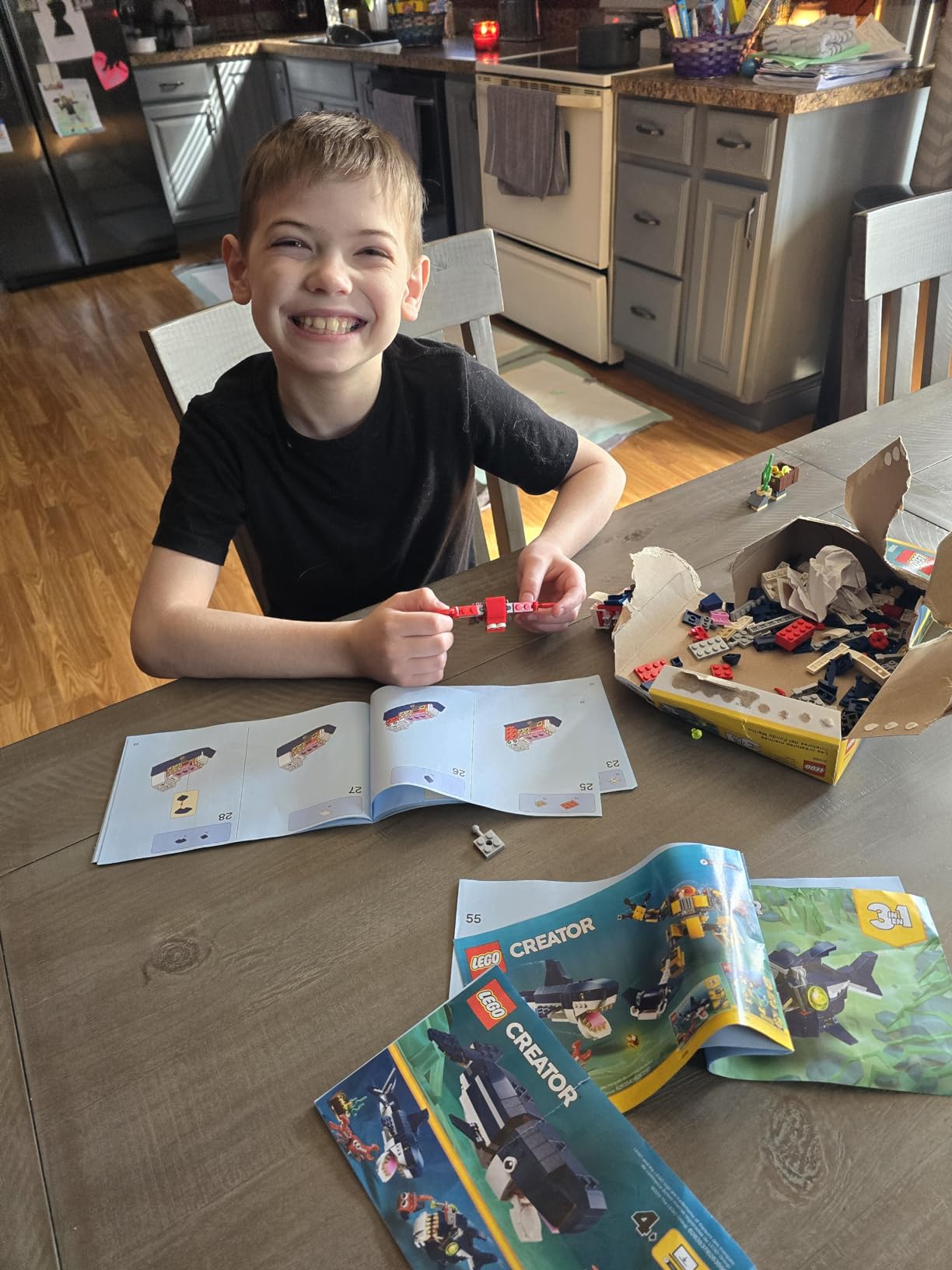 LEGO Creator 3 in 1 Deep Sea Creatures, Transforms from Shark and Crab to Squid to Angler Fish, Sea Animal Toys, Gifts for 7 Plus Year Old Girls and Boys, 31088 customer photo 1