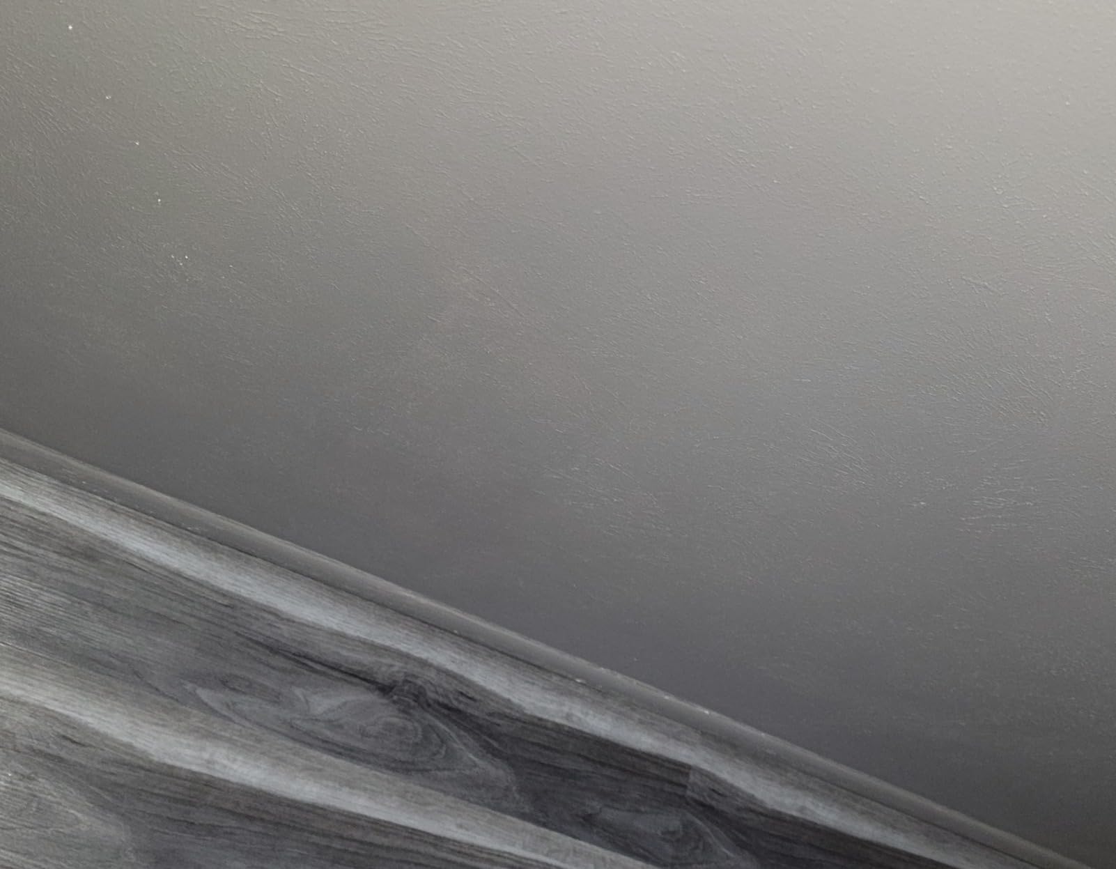 RECOLOR Eco-Friendly Interior Latex Paint, Eggshell Finish, 1 Gallon, Gull customer photo 2