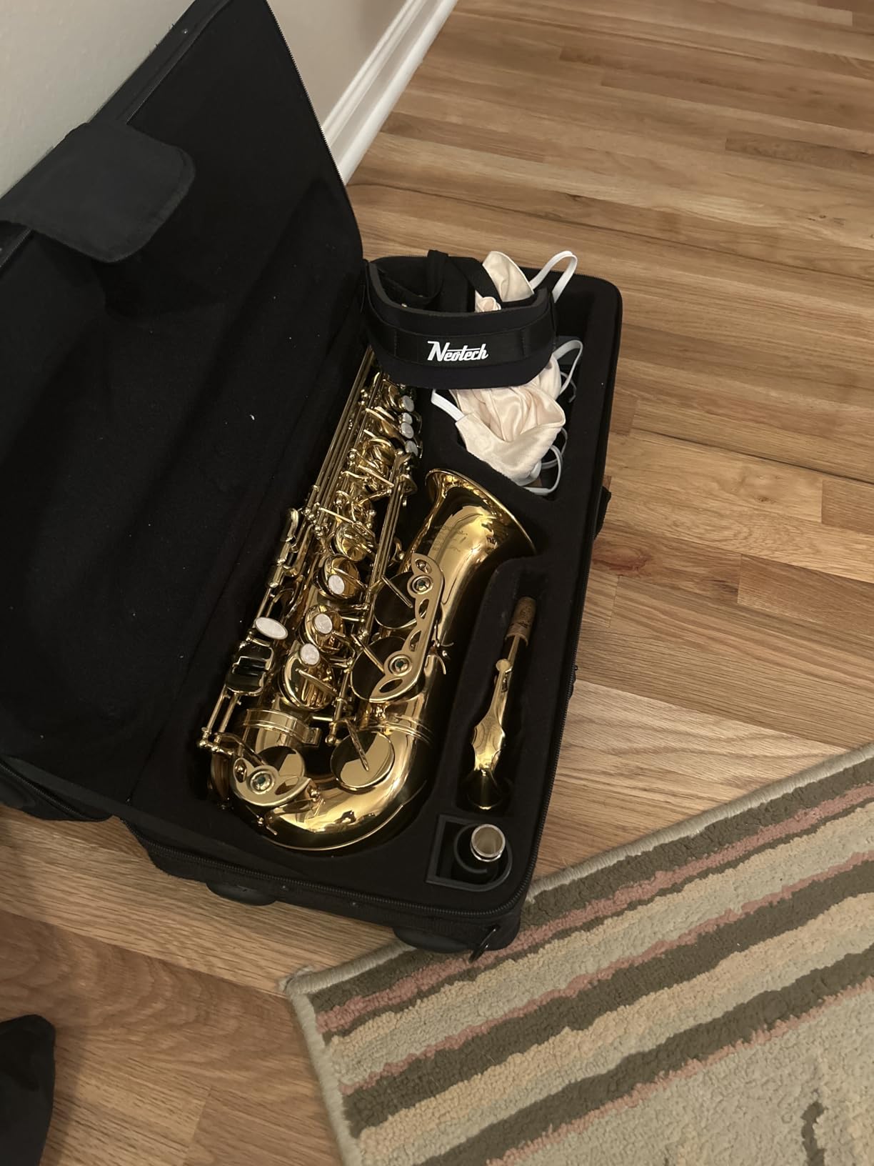 Eastar Alto Saxophone Beginner Student Eb Sax, Golden Full Kit, AS-II customer photo 1