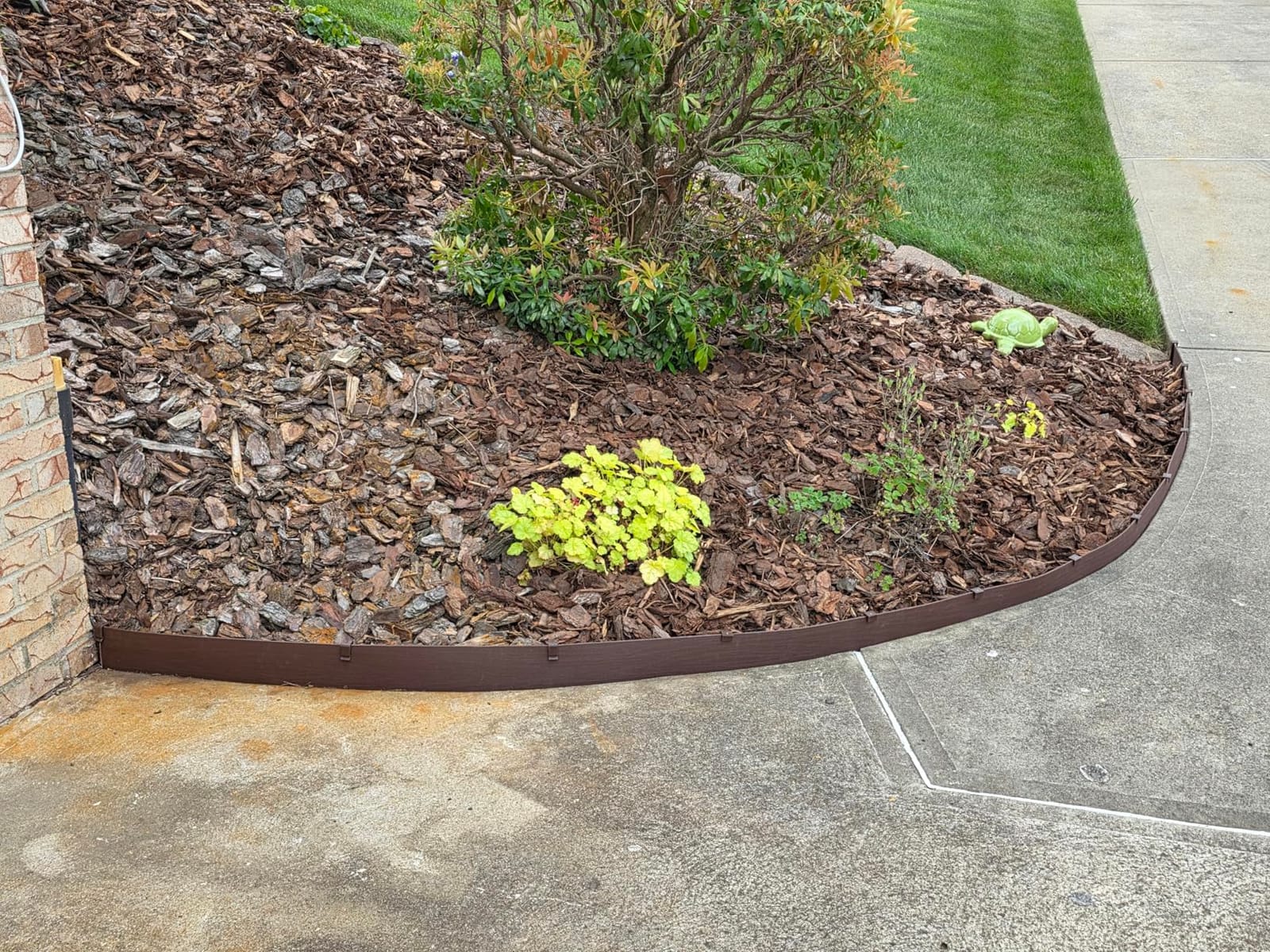 Amazon Basics Flexible Landscape Edging Coil for Garden Border, Flower Beds, Lawn and Pathways, 5 inch x 40ft, Brown, 10 Stakes customer photo 1