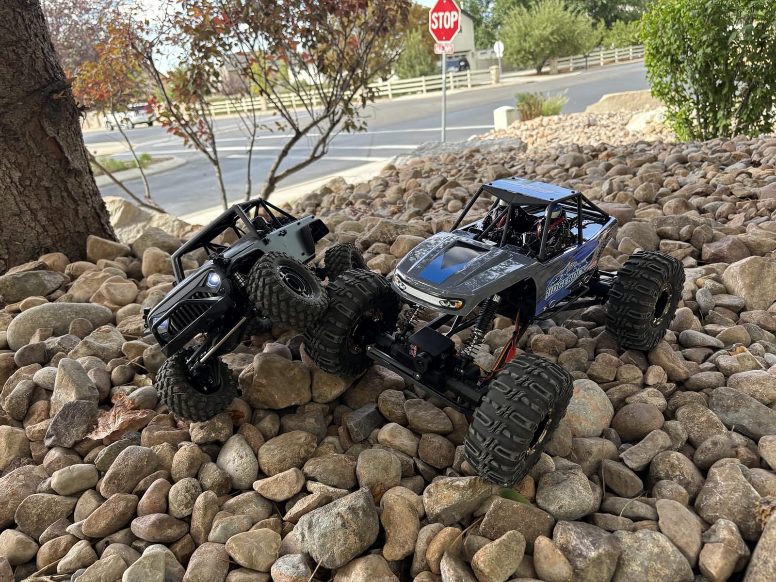 Redcat Racing Danchee Ridgerock 1/10 Scale 4WD Electric RC Rock Crawler – RC Truck RTR with 2.4GHz Radio, Dual Motors, 4-Wheel Steering, USB Charger with RC Crawler Li-ion Battery customer photo 1