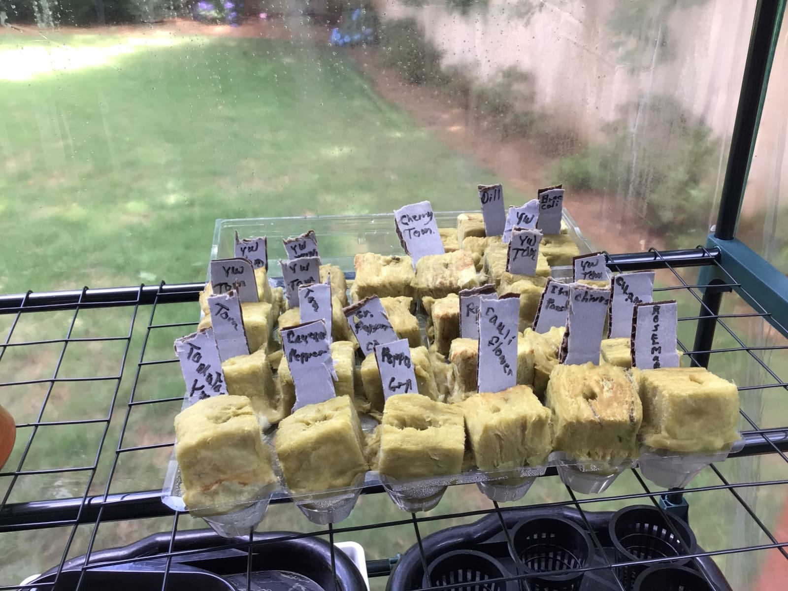 1.5 inch Rockwool/Stonewool Grow Cubes Starter Sheets for Cuttings, Cloning, Plant Propagation, Seed Starting Hydroponic Grow Media Growing Medium for Vigorous Plant Growth (28, 1.5) customer photo 2