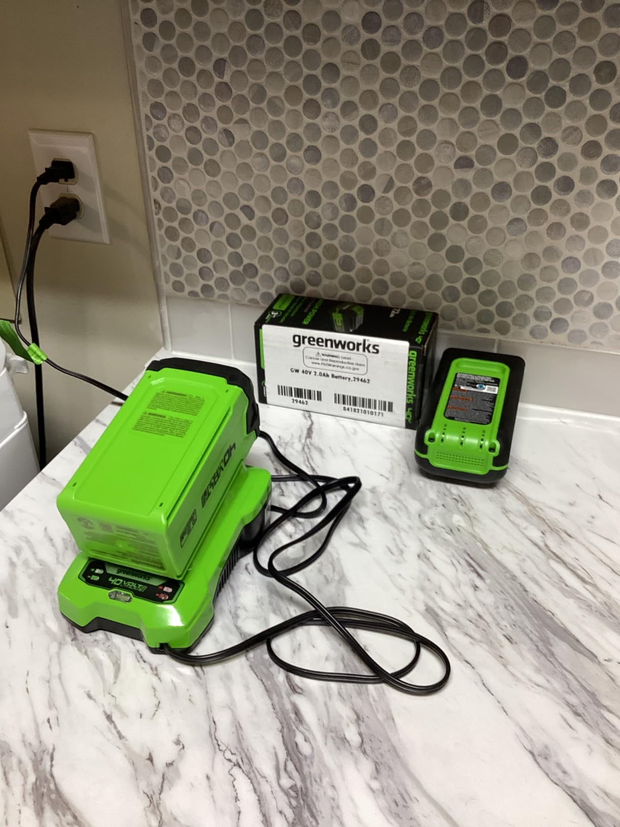Greenworks 40V 8-Inch Cordless Polesaw, 2.0Ah Battery and Charger Included PS40B210 customer photo 2