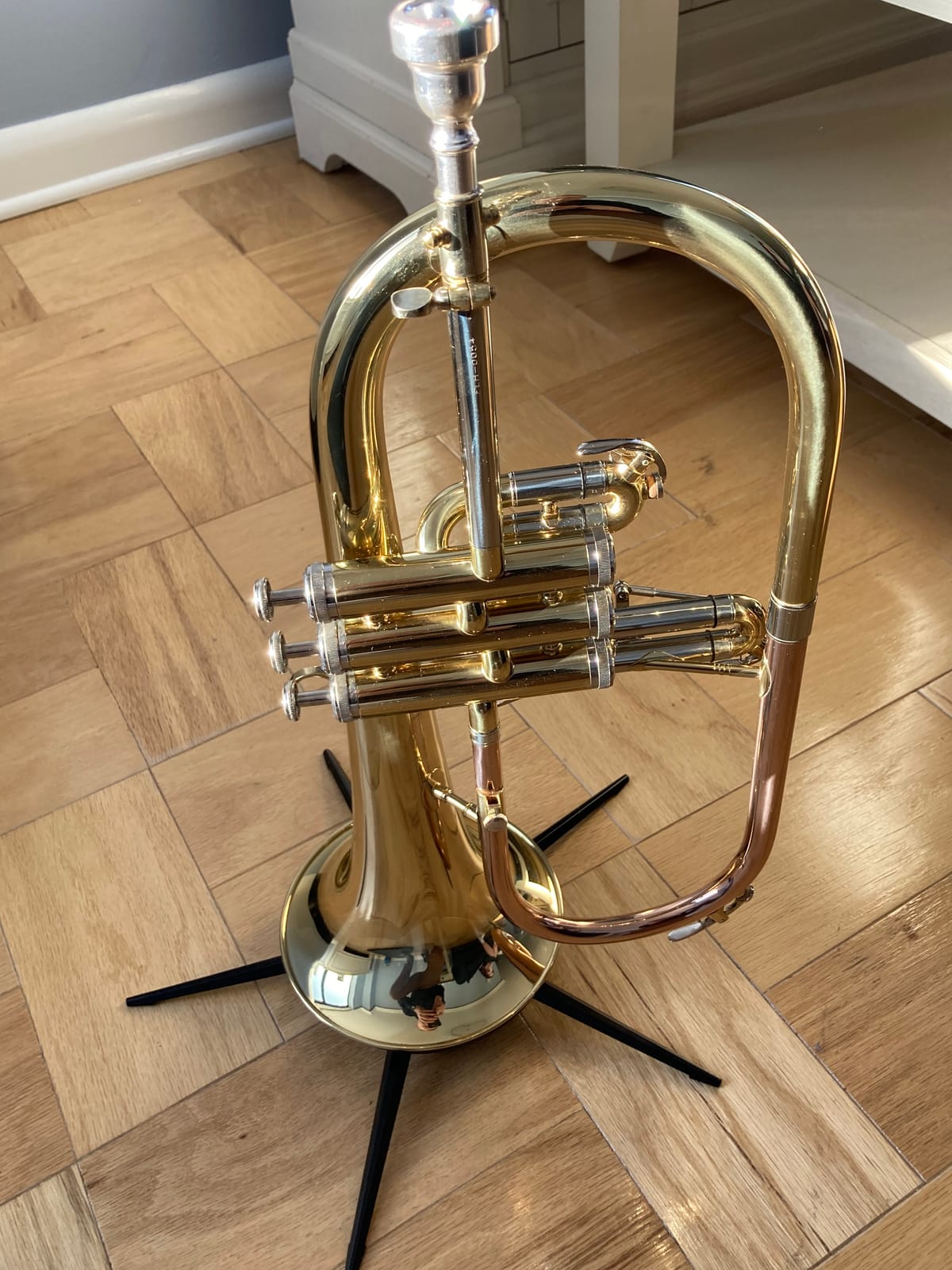Jean Paul USA Flugelhorn (FH-430), Yellow customer photo 2