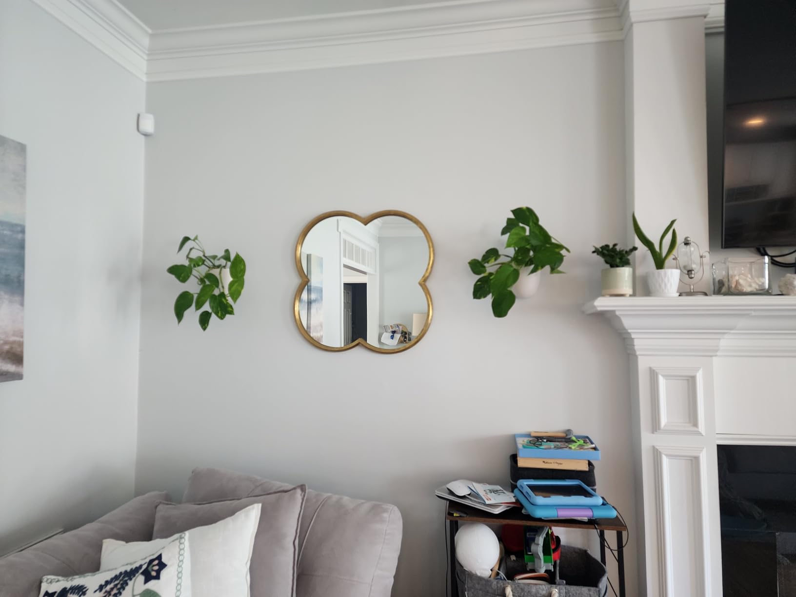 Make Good PlantPod Luxe - Self-Watering Wall Planters (Set of 6) - Easy to Water and Install - Lightweight - Design Your Own Vertical Garden - Wall Planters for Indoor Plants customer photo 1
