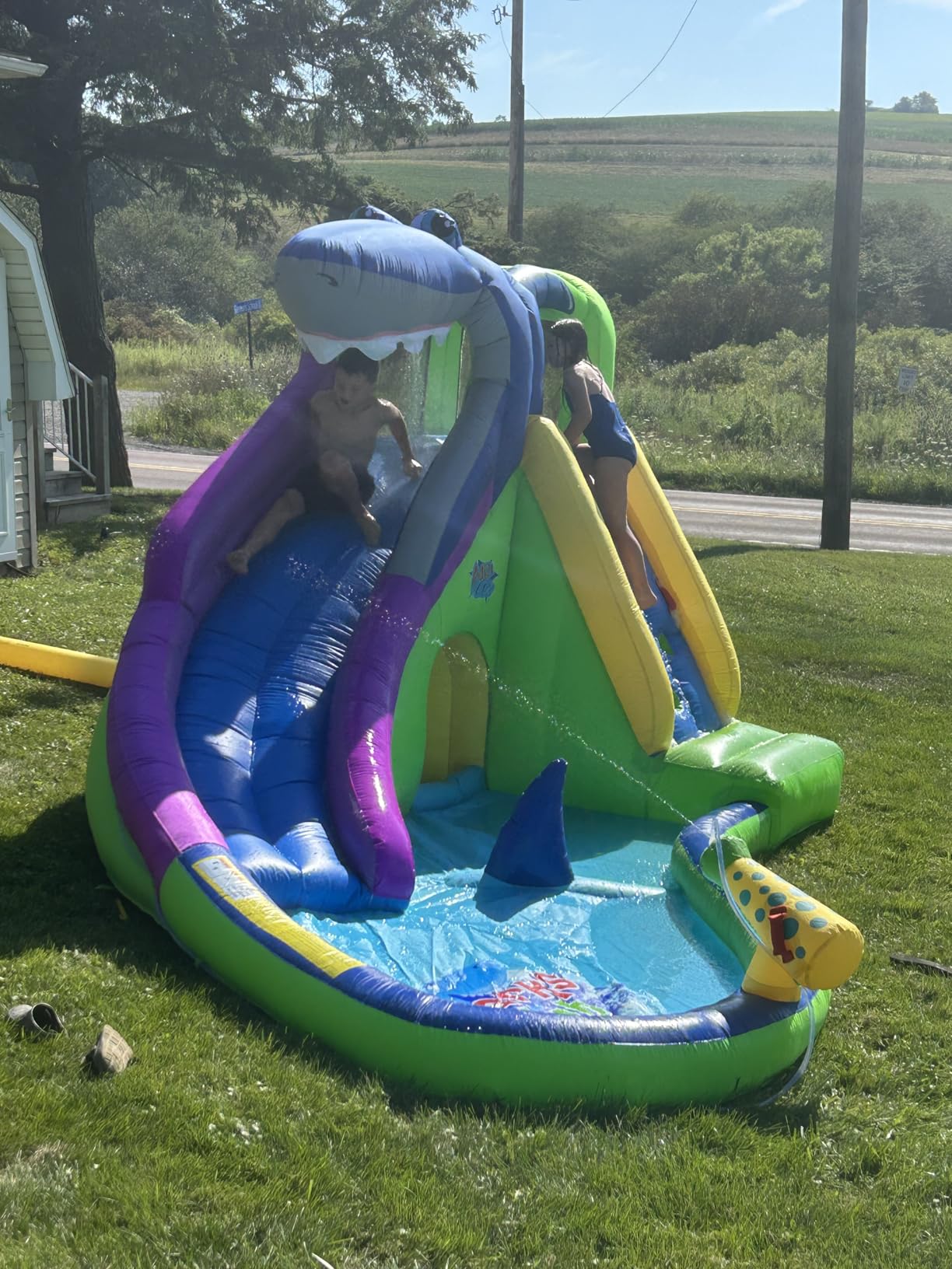 ACTION AIR Inflatable Water Slide, Shark Bounce House with Slide for Wet and Dry, Playground Sets for Kids Backyard, Water Spray & Water Pool, Durable Sewn with Extra Thick Material customer photo 1