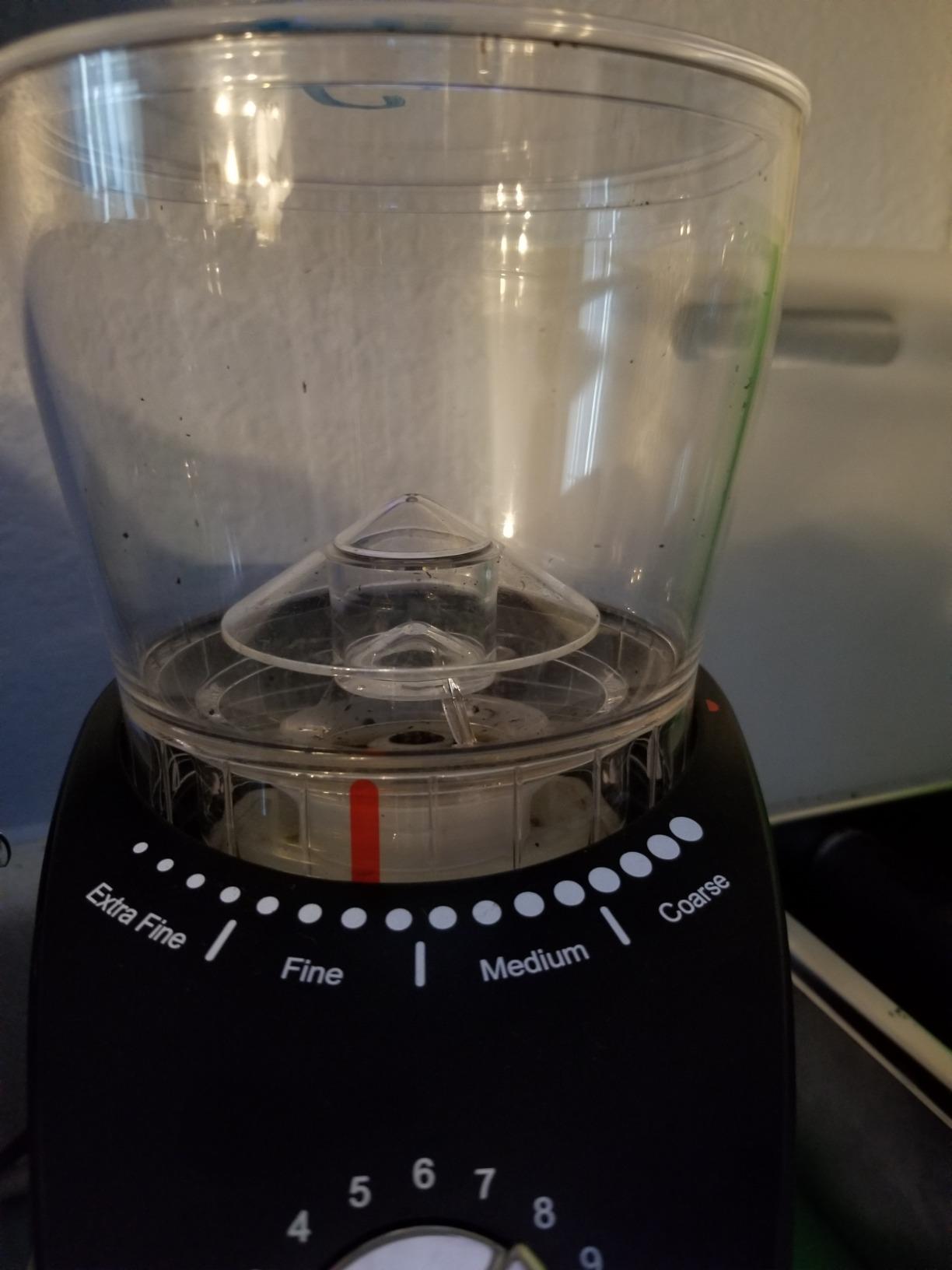 Infinity Plus Conical Burr Grinder, Black | Commercial-grade steel burrs, 16 settings, low-speed gear motor customer photo 1