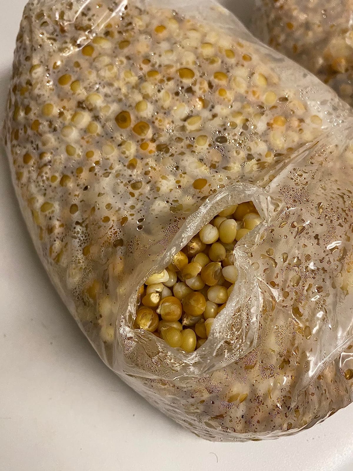 Mushroom Bags,Mushroom Grow Bag/Farm-Mushroom Spawn Bags/Sealable Spawn/Myco Bags,Large Size 8