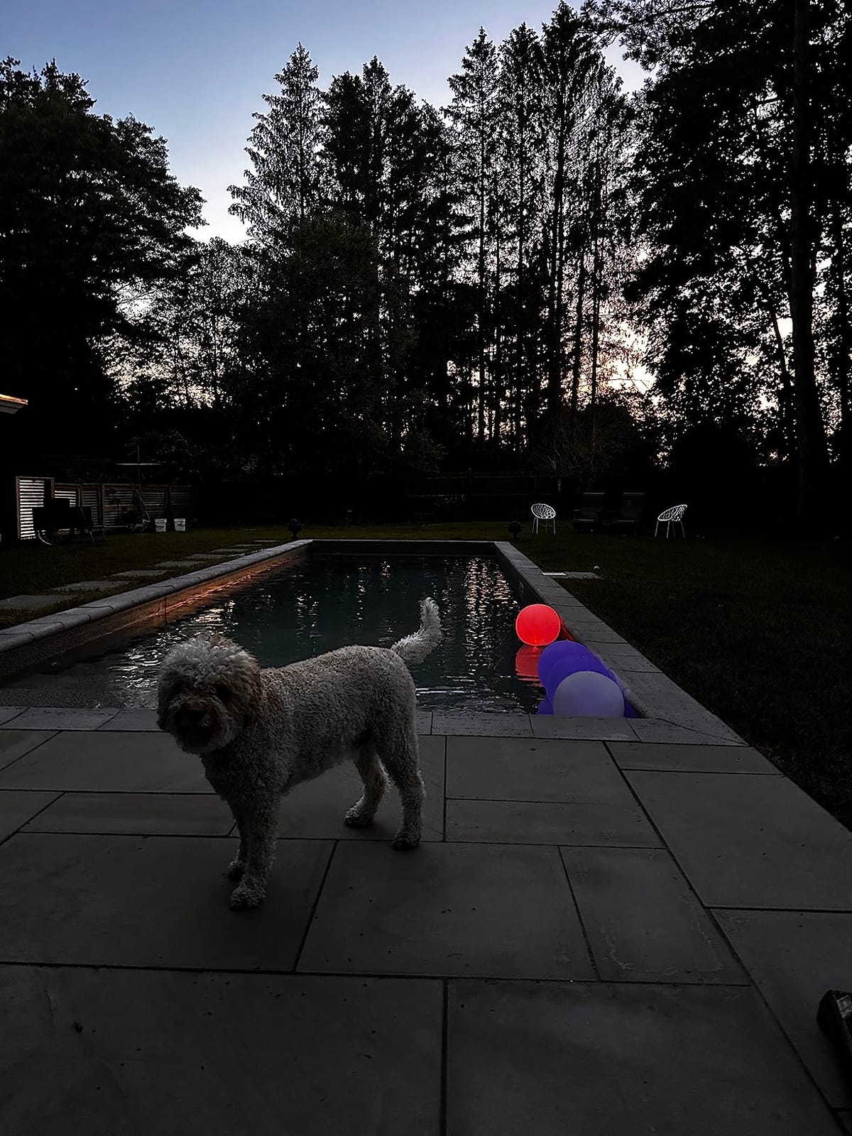 Floating Pool Lights Inflatable Waterproof IP68 Solar Glow Globe,14” Outdoor Pool Ball Lamp 4 Color Changing LED Night Light, Party Decor for Swimming Pool,Beach,Garden,Backyard,Lawn,Pathway - 2 PCS customer photo 2