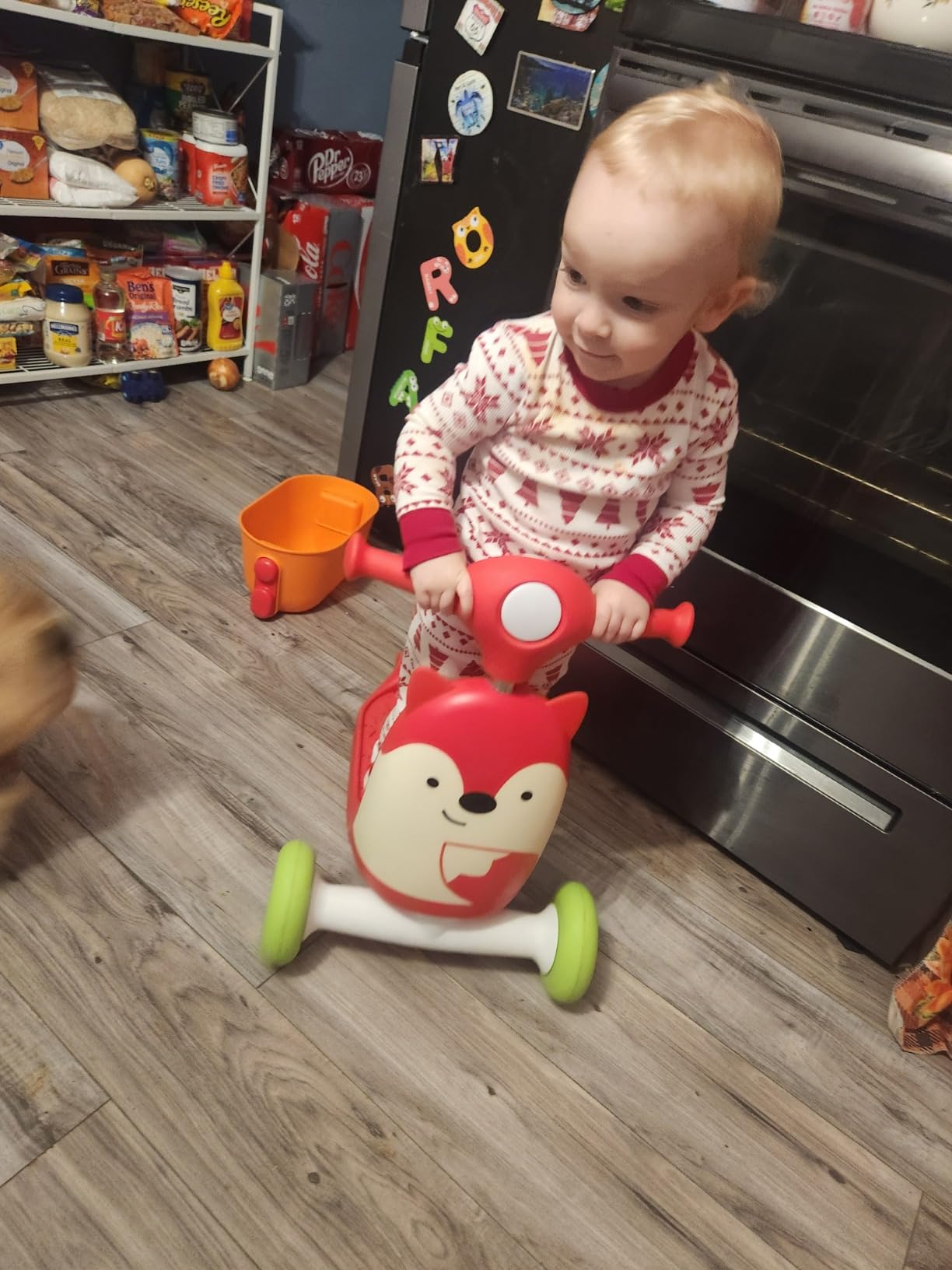 Skip Hop Kids 3-in-1 Baby Activity Push Walker & Ride On Scooter Toy, Unicorn customer photo 2
