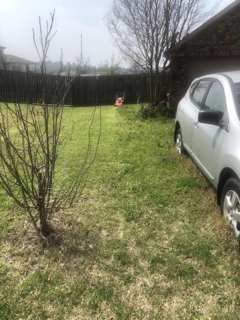 CRAFTSMAN Electric Push Lawn Mower, 20-Inch Deck, Corded, Powerful 13-AMP Motor, 6 Setting Height Adjustment, Winged Blades, 3 in 1 Bagging, Mulching and Discharge (CMEMW213) customer photo 1