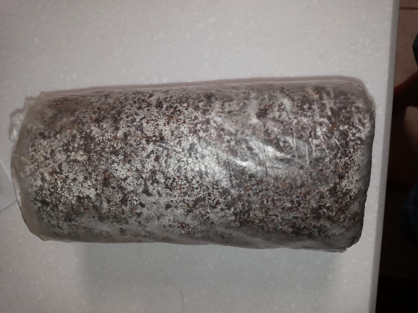 Lion’s Mane Mushroom Grow Kit, 4 lb (Packaging May Vary) customer photo 1