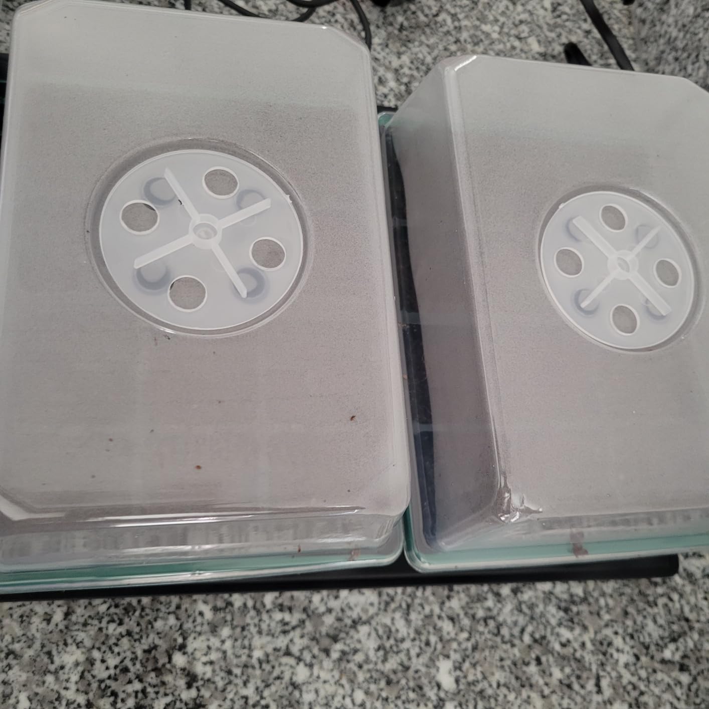 Gardzen 5-Set Seed Starter Tray Kits, Durable Plant Germination Trays with Humidity Vented Domes and Bases, Ideal for Seed Starting, Indoor Gardening, and Greenhouse (Total 200 Cells) customer photo 1