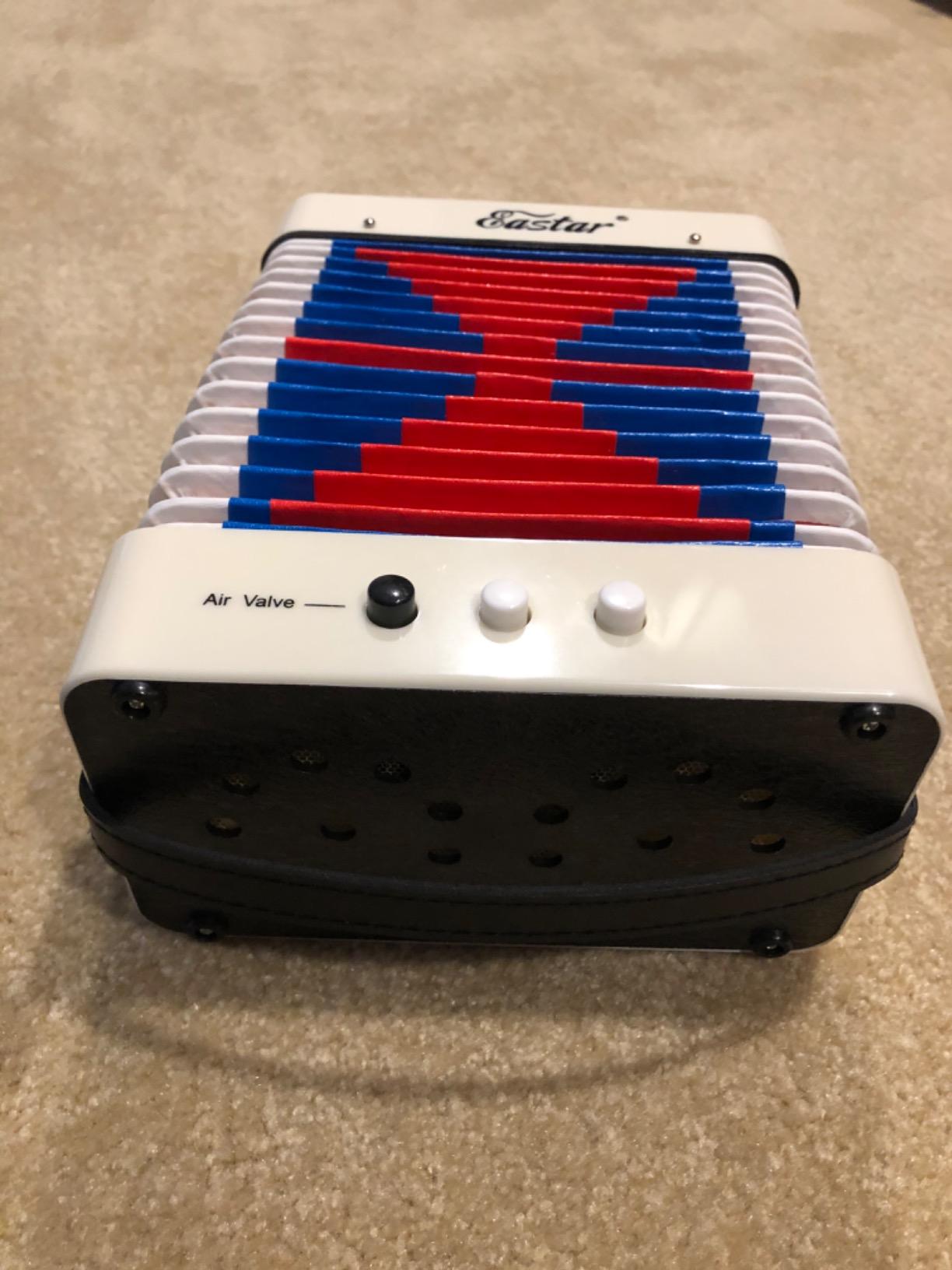 Eastar Kids Accordion Toy Accordion Mini Musical Instruments 10 Keys Button for Children Kids Toddlers Beginners (White) customer photo 2