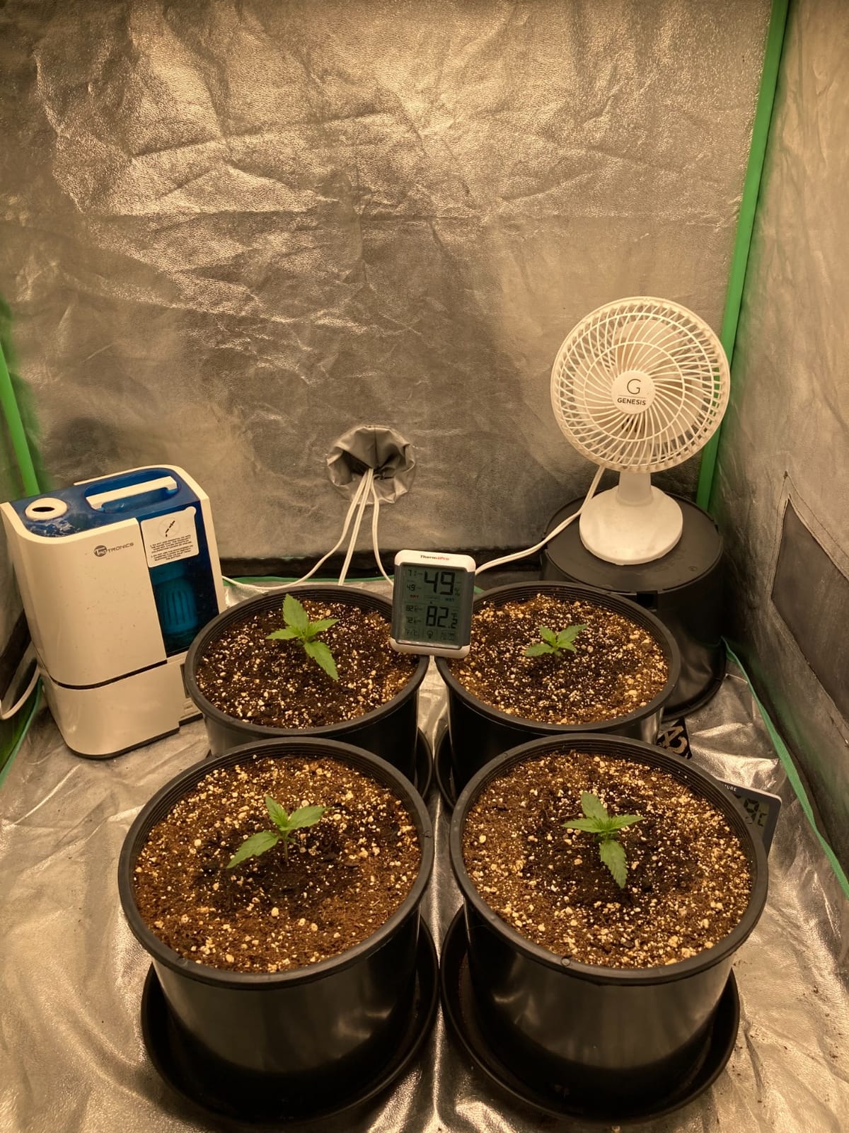 MARS HYDRO 150W TS1000 LED Grow Light for Indoor Plants Full Spectrum customer photo 2