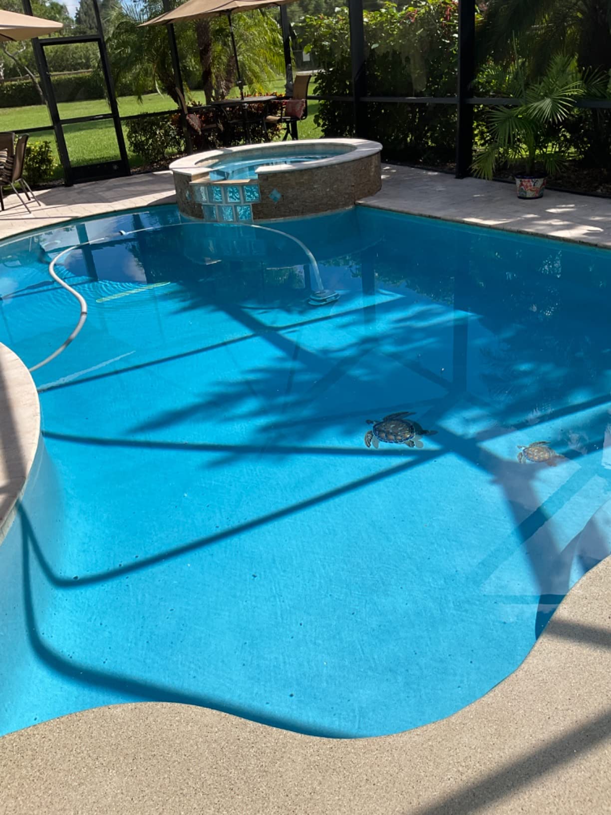 Hayward PoolVac XL Suction Pool Cleaner for Inground Pools up to 20 x 40 ft customer photo 2