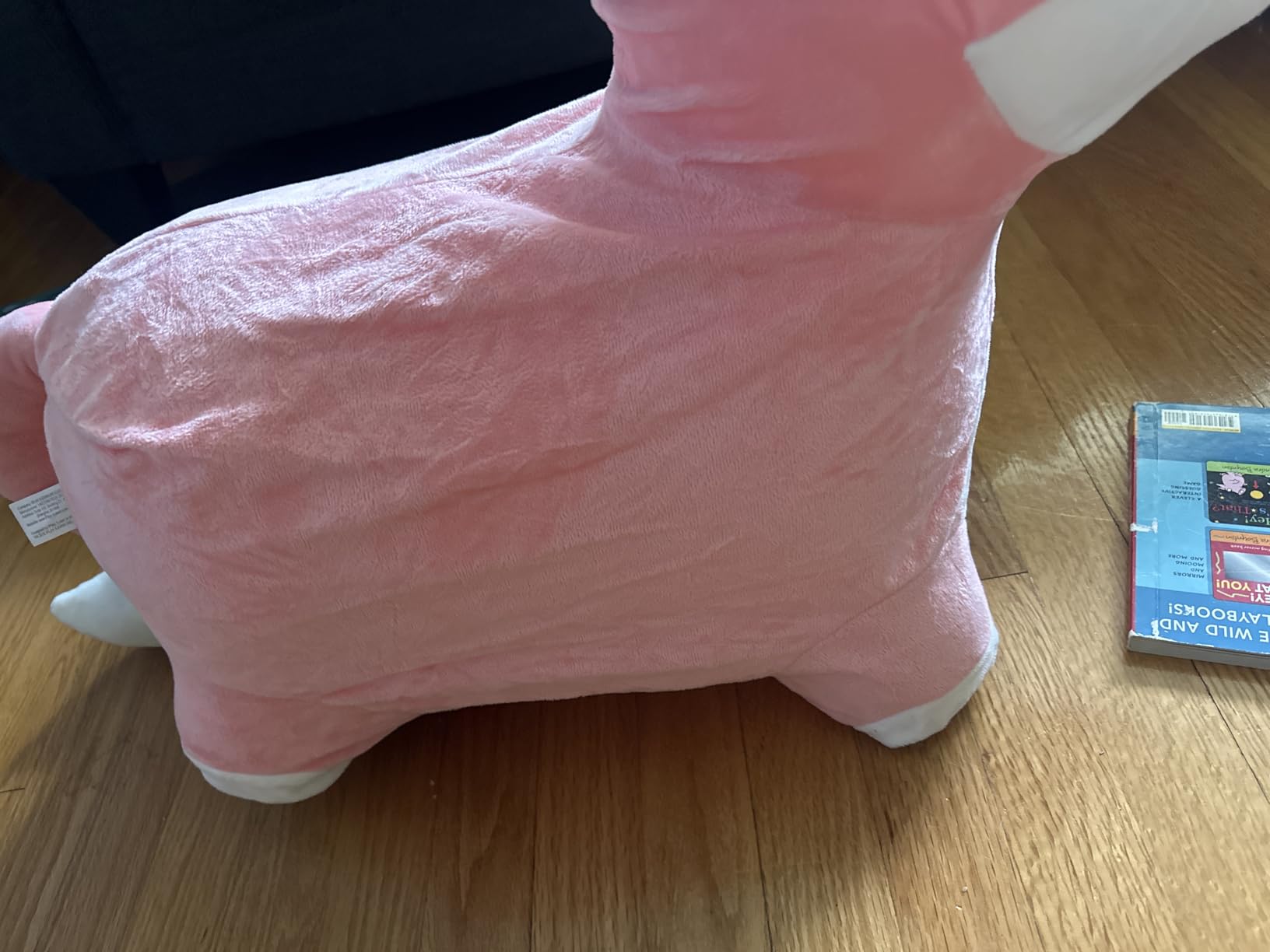 Bouncy Pals Toddler Unicorn Hopper Toy Girl Gift, Outdoor Ride Animal Horse customer photo 1