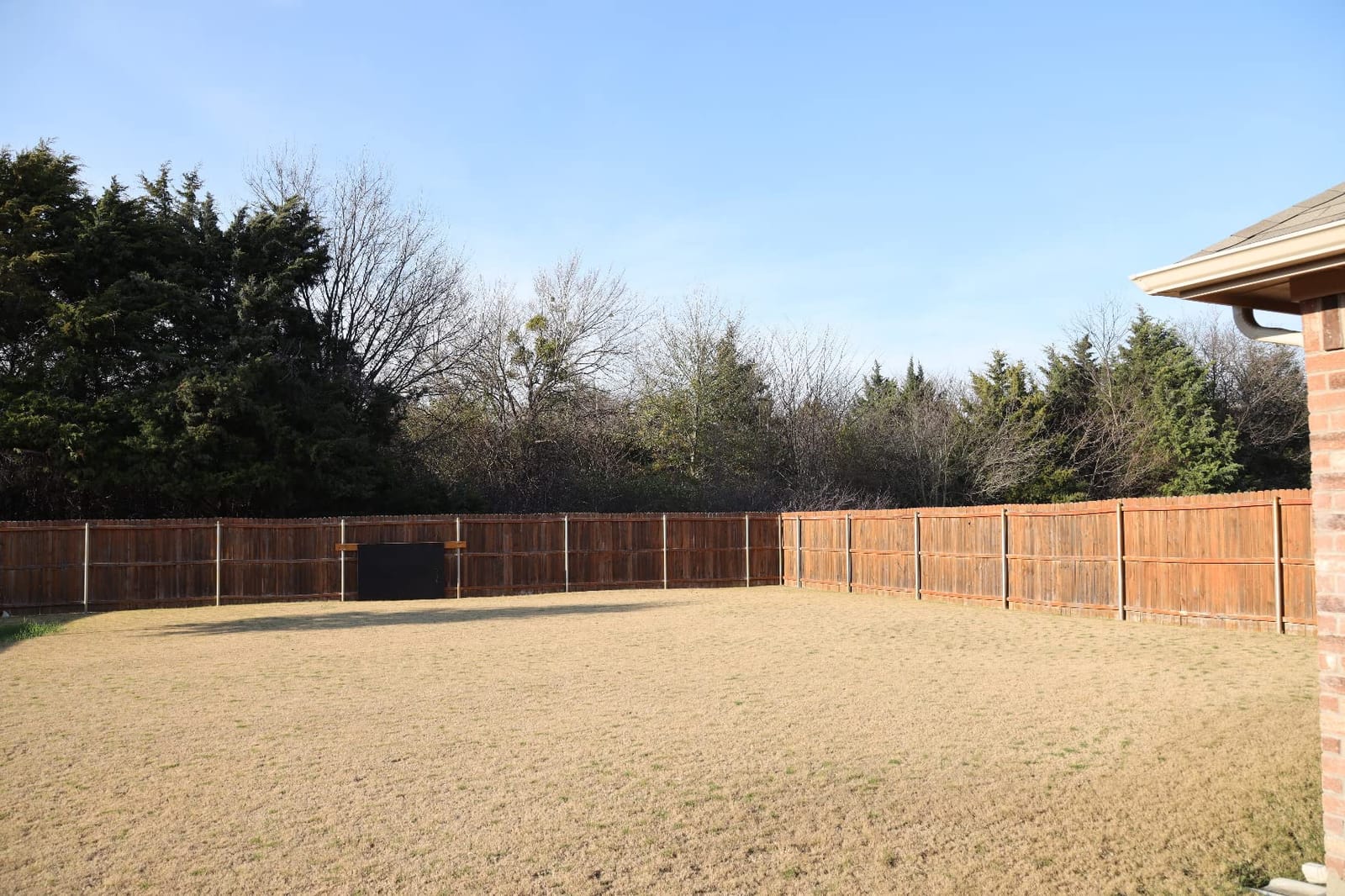 Canon RF 24-240mm F4-6.3 IS USM Lens customer photo 2