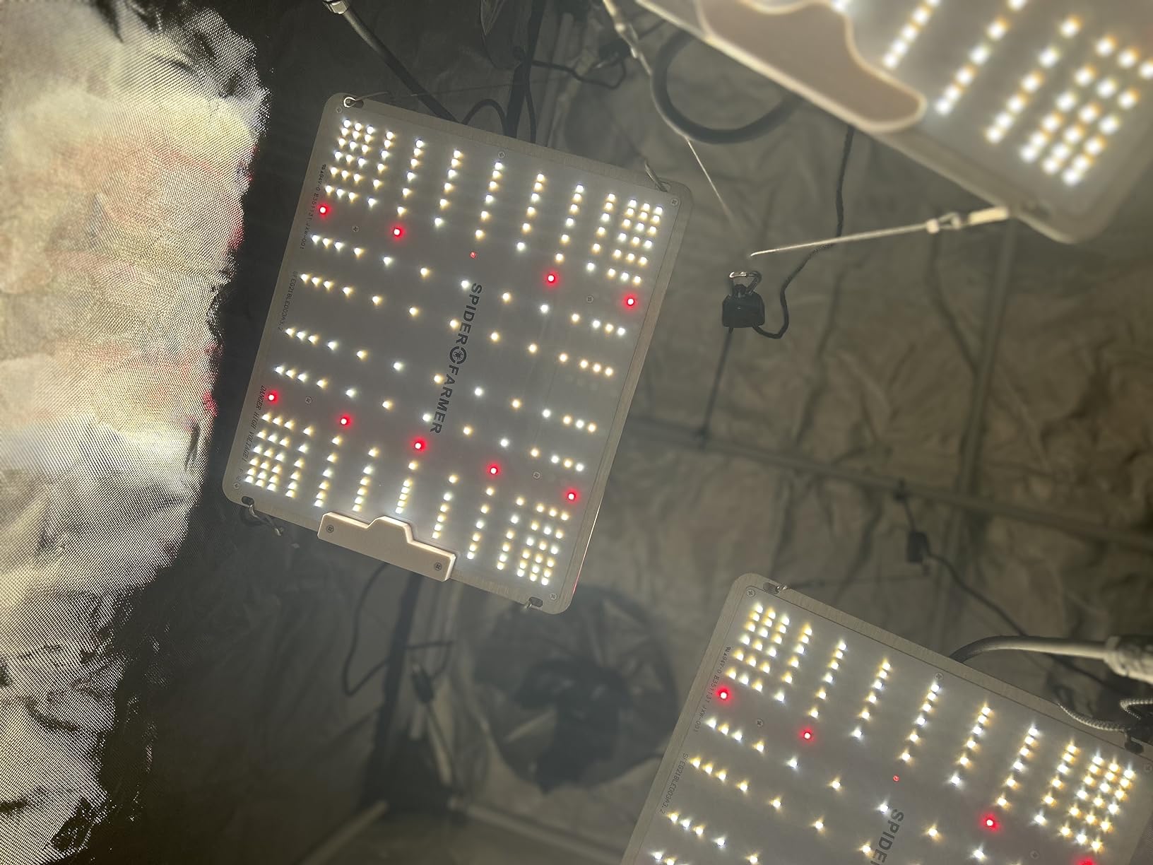 Spider Farmer SF4000 LED Grow Lights for Indoor Plants in 4x4 Grow Tent customer photo 2