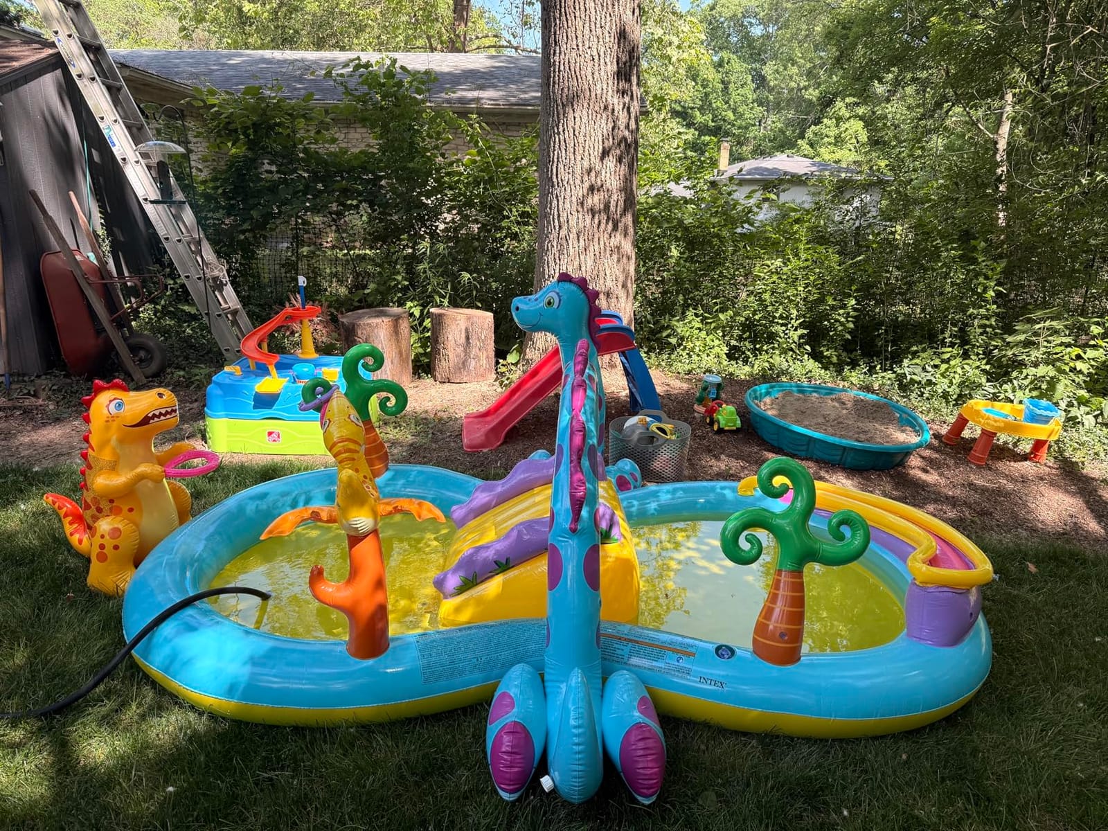 INTEX Gator Inflatable Swim Center & Kiddie Pool for Outdoor Play customer photo 1