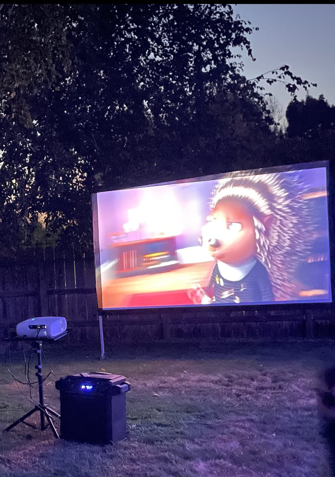 Projector Screen 120 inch,Outdoor Projector Screen with 3-Layers PVC customer photo 2