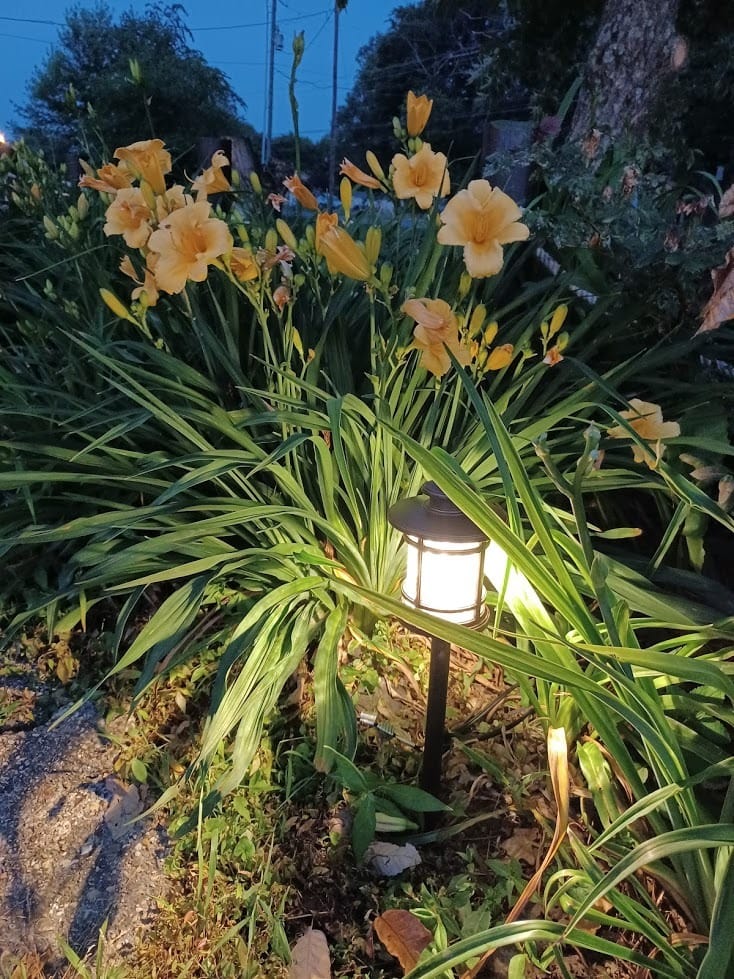 hykolity Low Voltage LED Landscape Kits, 12V-15V Pathway Flood Light Kits customer photo 2