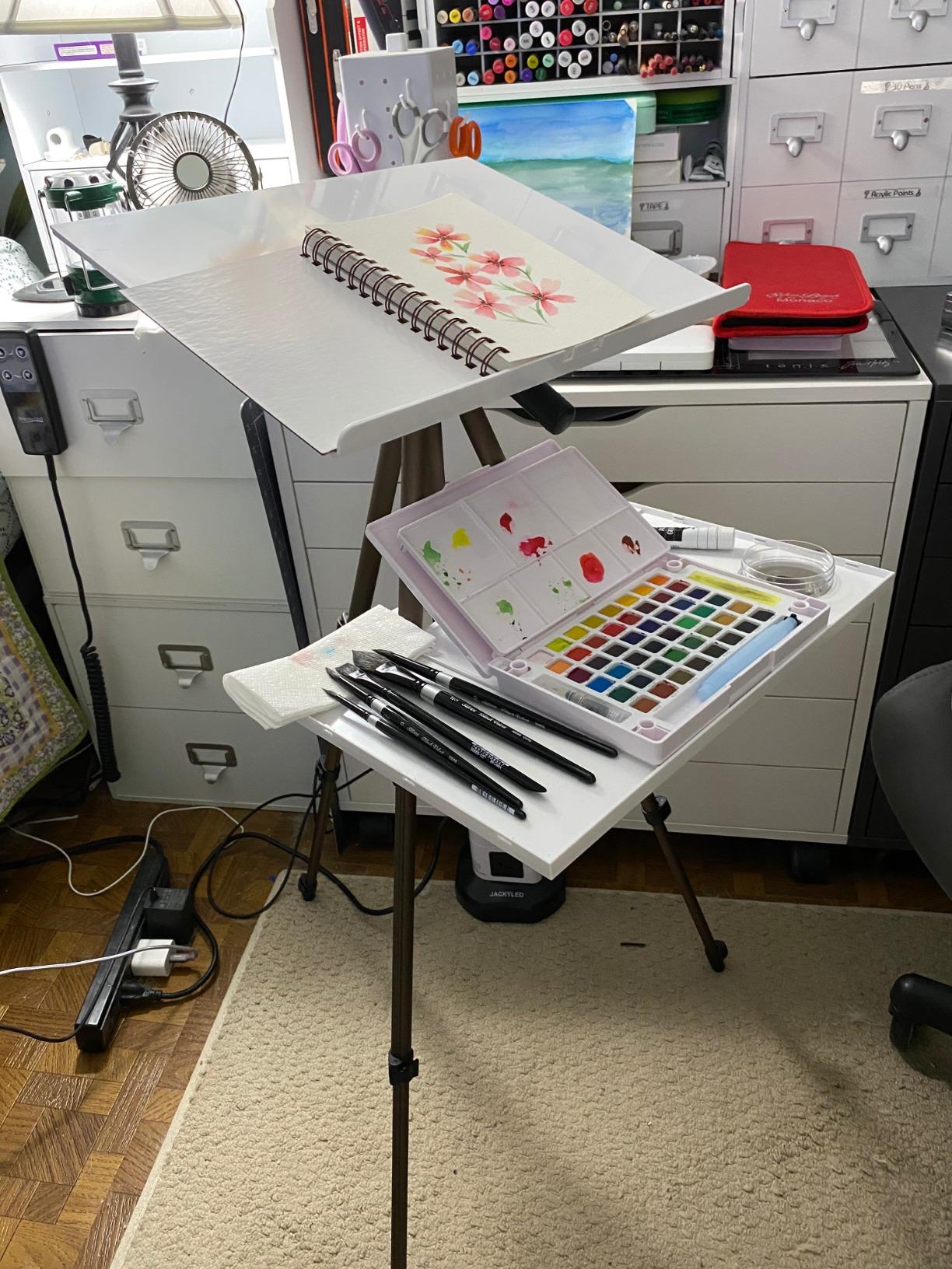 MEEDEN Plein Air Easel for Painting: Adjustable Travel Watercolor Tripod | Collapsible Portable Easel Stand for Artists Adults customer photo 1