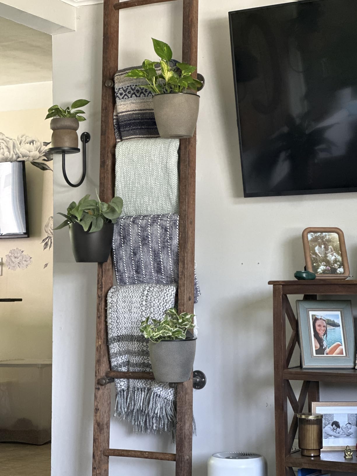 ORIMERC 6 Pack Hanging Planter Wall Planter Self Watering 5 inch Plant Pot with Hardware Vertical Planter Outdoor Indoor Plants Herb Garden Home Décor Kitchen Balcony Railing Shelf Fence (Medium) customer photo 2