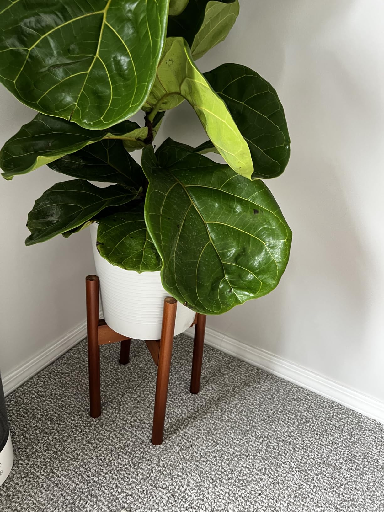 MUDEELA Plant Stand for Indoor, Bamboo Material, Dark Brown, 14.5 Inch Tall | Adjustable Width Fits 8-12 Inch Pot, Mid-century Modern Style, Single Tier Small Floor Plant Holder, 1 Pack, Without Pot customer photo 2