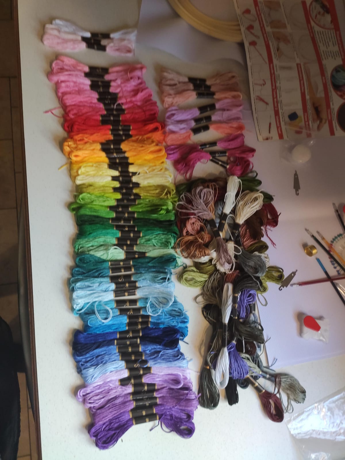 Similane Embroidery Kit 215 Pcs, 100 Colors Threads, 5 Pcs Embroidery Hoops, 3 Pcs Aida Cloth, 40 Sewing Pins, Cross Stitch Tools and Embroidery Starter Kit for Adults Beginners customer photo 1