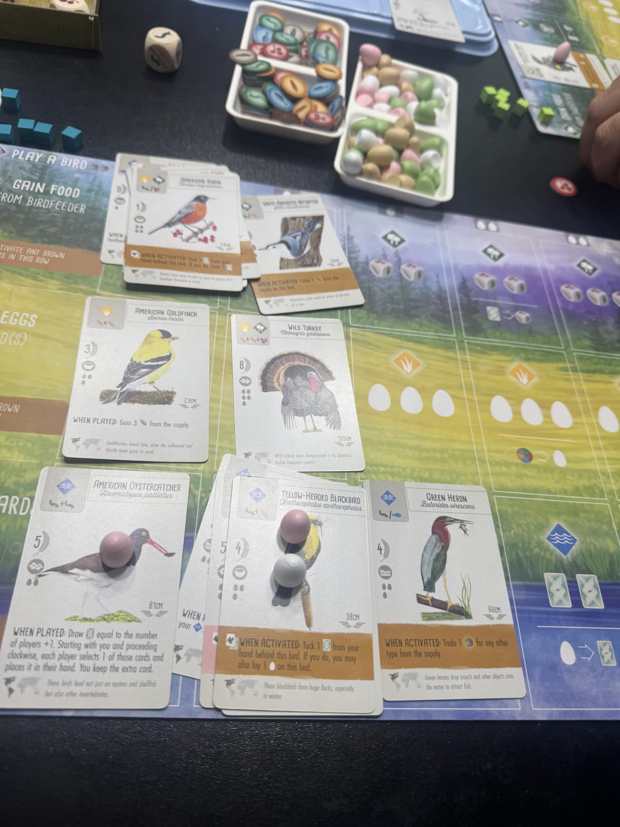 Stonemaier Games: Wingspan by Elizabeth Hargrave customer photo 2