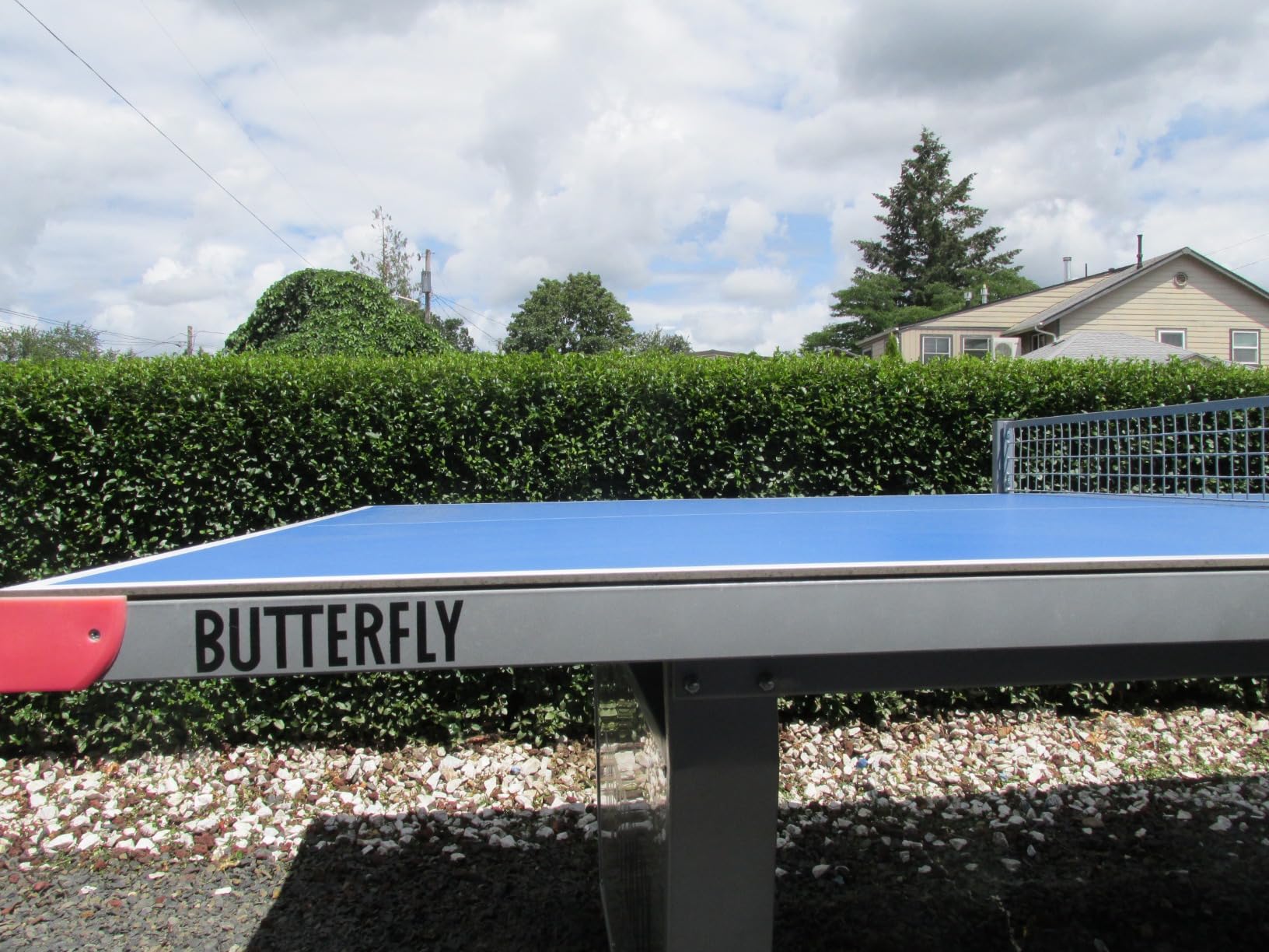 Butterfly Park Outdoor Table Tennis Table customer photo 1