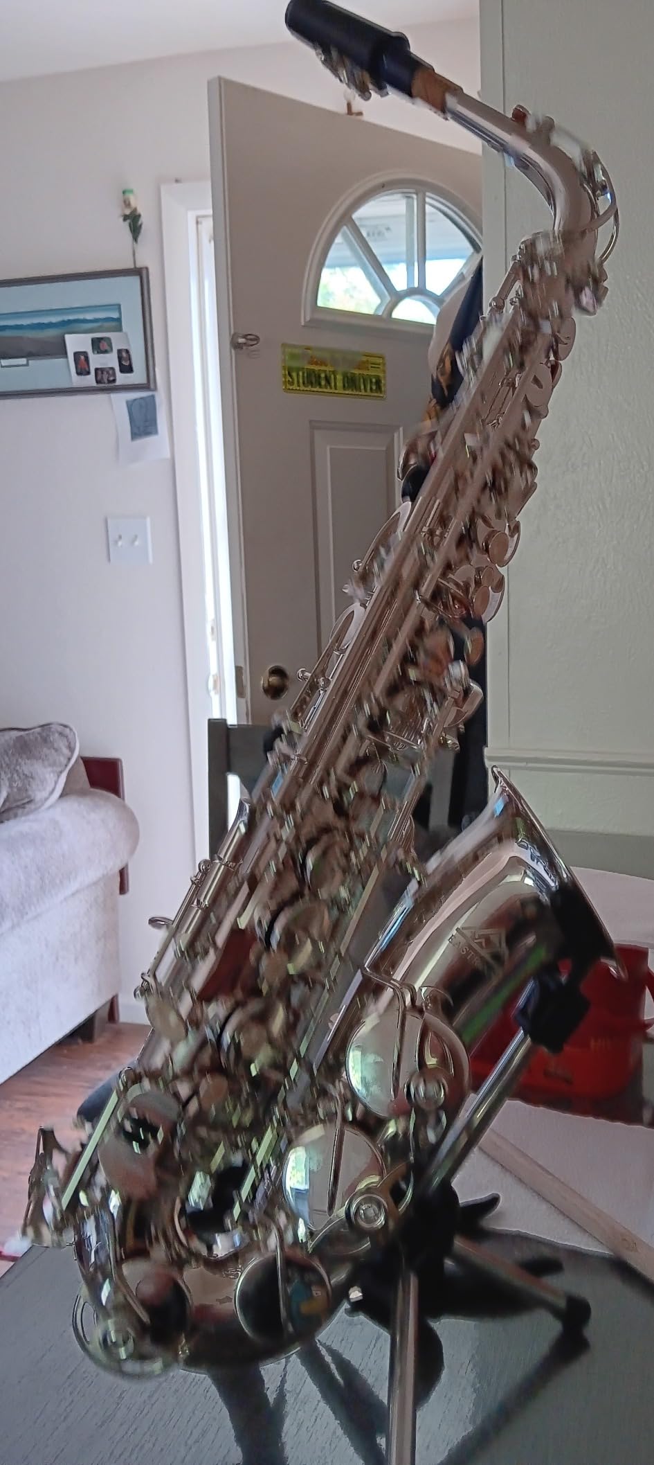 EASTROCK E Flat Alto Saxophone Blue/Golden Sax for Beginners and Students customer photo 1