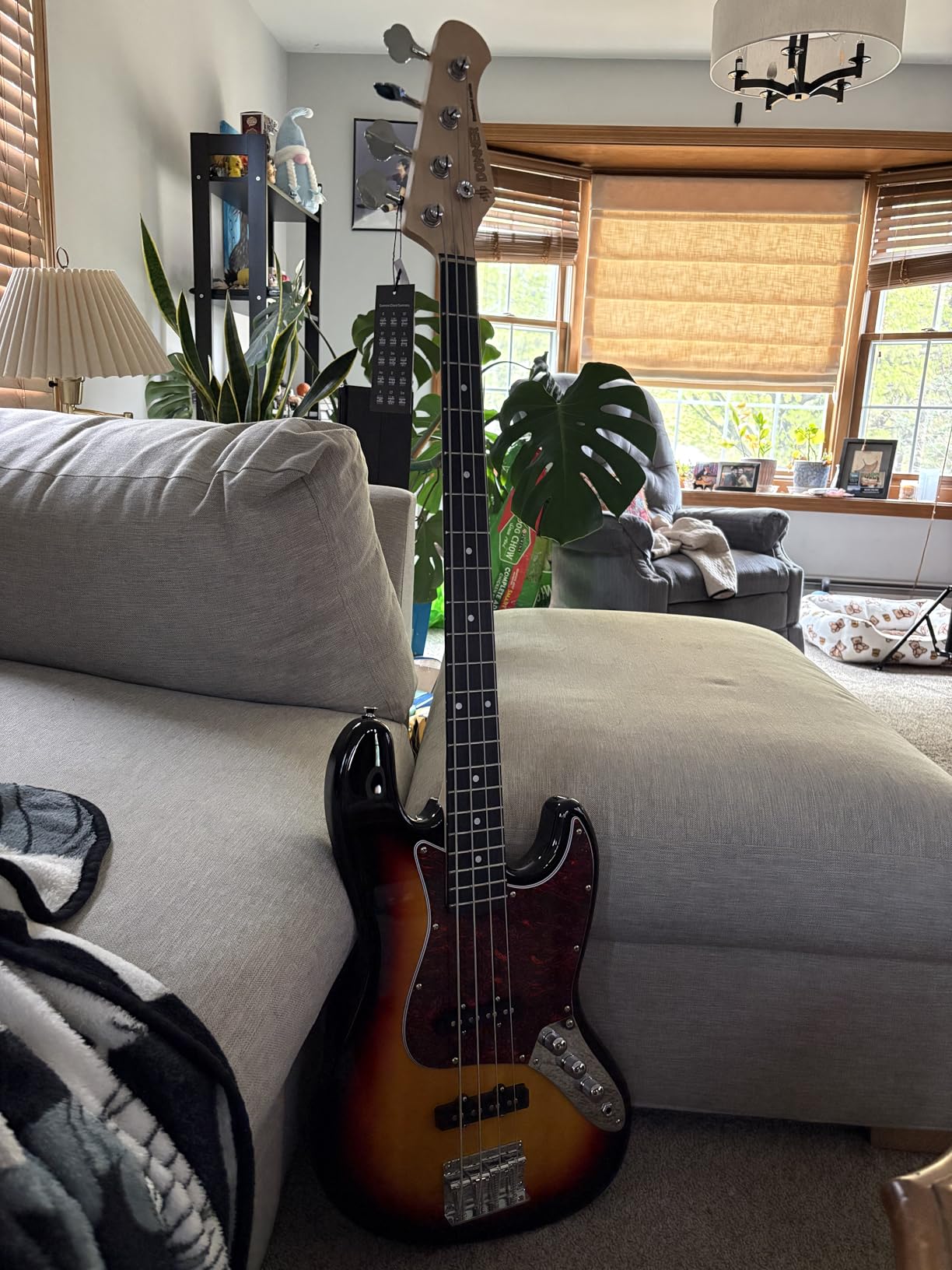 Donner Electric Bass 4 Strings Full-Size Guitar Kit PB-Style (Sunburst) customer photo 2