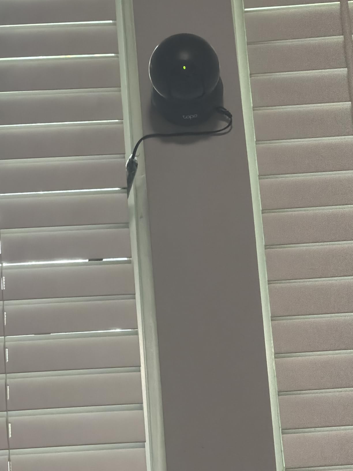 Tapo 1080p Pan/Tilt Security Camera for Baby Monitor, Pet Camera, C200 customer photo 1