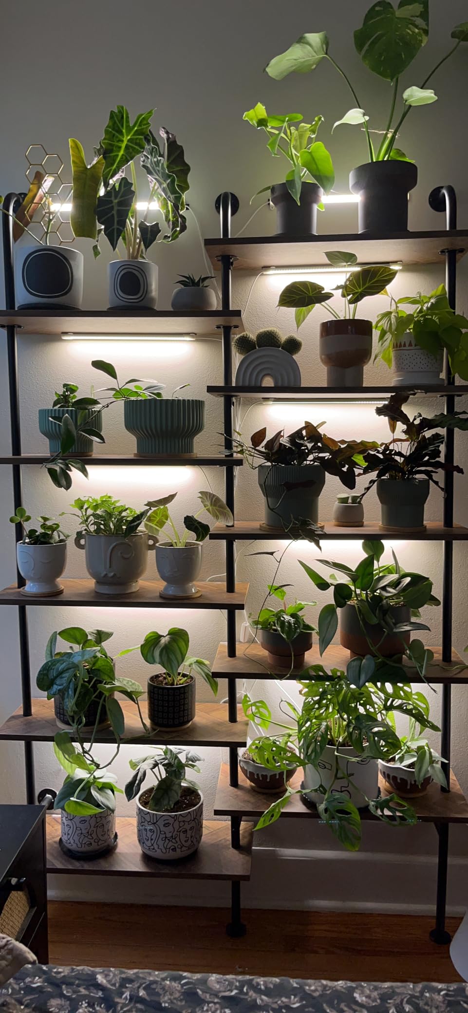 LED Plant Grow Light Strip Full Spectrum for Indoor Plant with Timer customer photo 1
