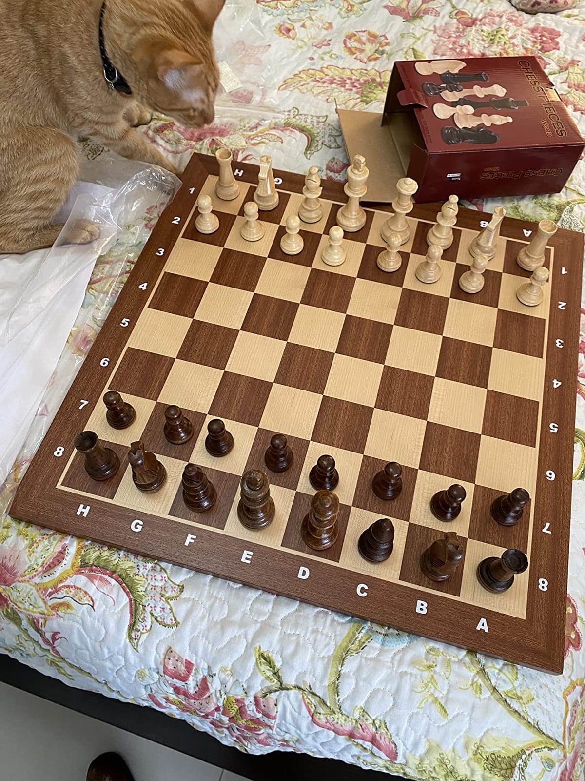 GSE Professional Tournament Chess Board Only, Sapele & Maple Inlaid, Brown customer photo 2