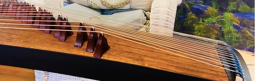 OrientalMusicSanctuary MAESTRO SERIES 2020 Professional Performers' Black Sandalwood Travel Guzheng - INCLUDES COMPREHENSIVE TUTORIAL BOOK AND ETUDES customer photo 1
