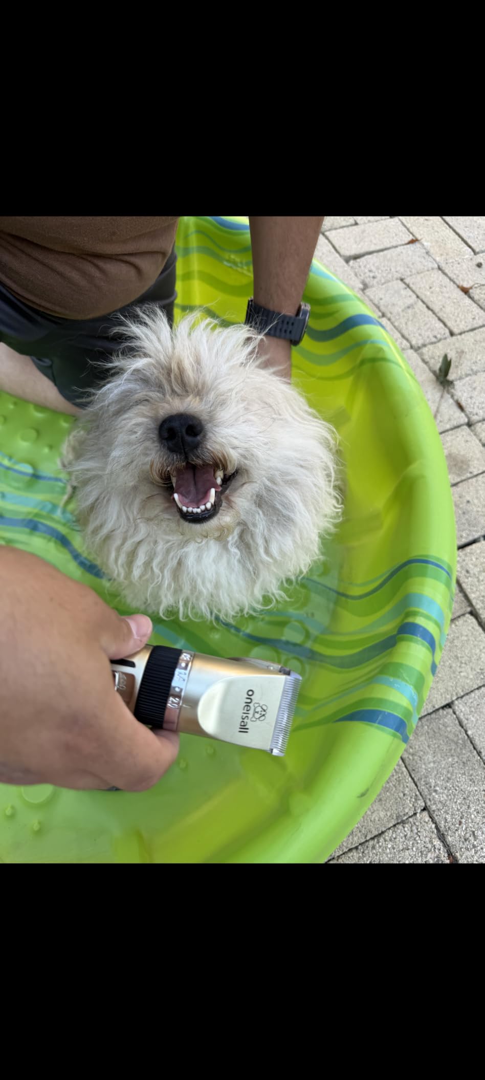 oneisall Dog Grooming Clippers with LED Display for Dogs & Cats customer photo 2