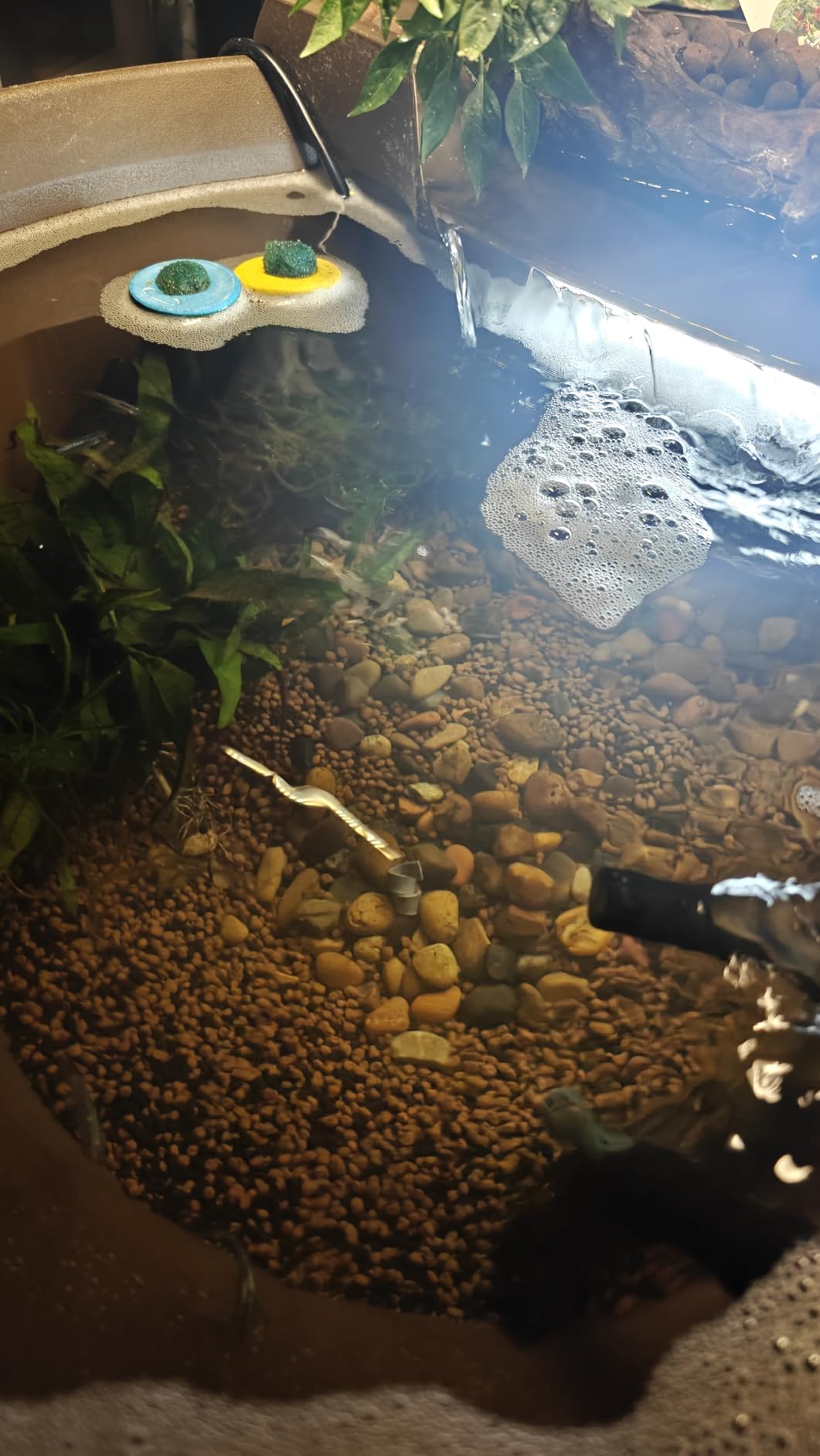 Aquascape AquaGarden Mini Pond Kit customer photo 2