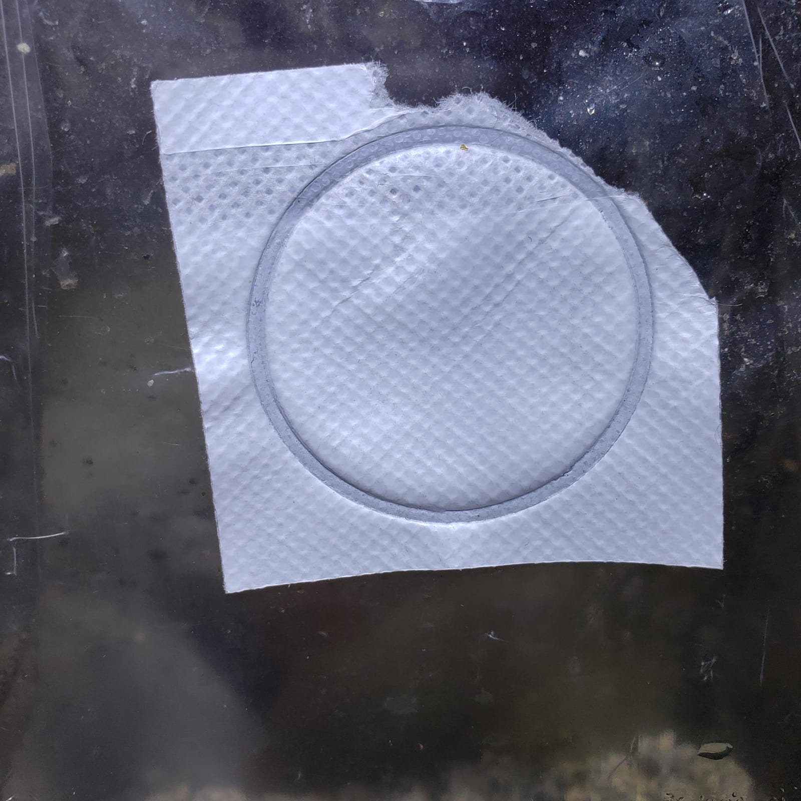 Reinforced Mushroom Grow Bags, 10 Count, Oyster Spawn and Grain Root Substrate Growing Kit with 0.2 Micron Filter, Heavy Duty 3 Mil Polypropylene Plastic customer photo 2