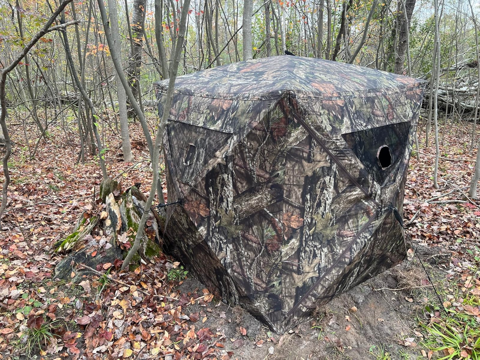 Ameristep Brickhouse Hunting Blind | 3-Person Ground Blind in Mossy Oak Break-Up Country, One Size customer photo 2